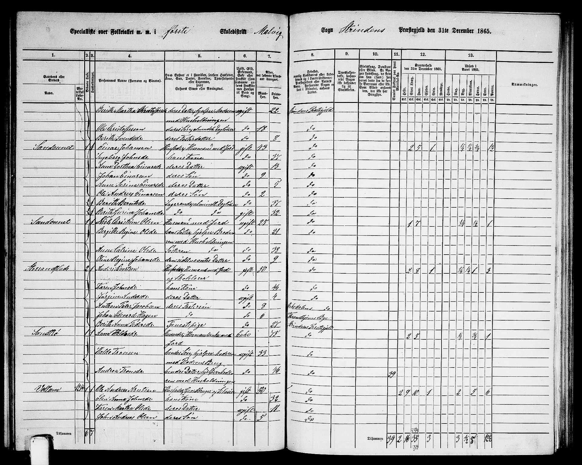 RA, 1865 census for Strinda, 1865, p. 206