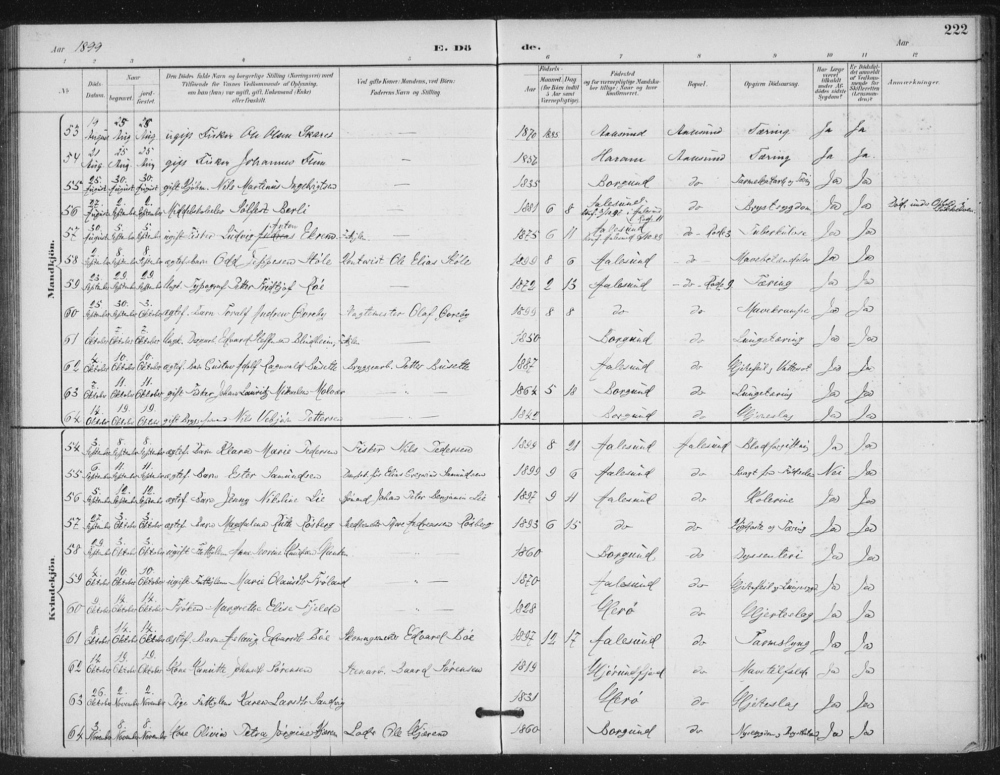 Ministerialprotokoller, klokkerbøker og fødselsregistre - Møre og Romsdal, AV/SAT-A-1454/529/L0457: Parish register (official) no. 529A07, 1894-1903, p. 222