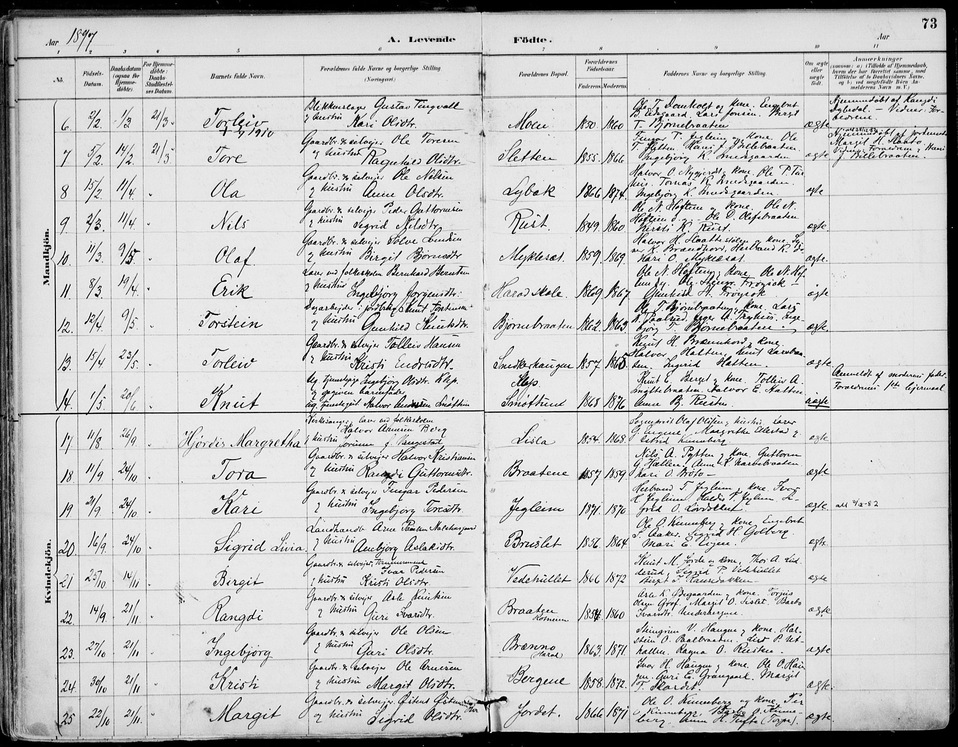 Gol kirkebøker, AV/SAKO-A-226/F/Fa/L0005: Parish register (official) no. I 5, 1887-1900, p. 73