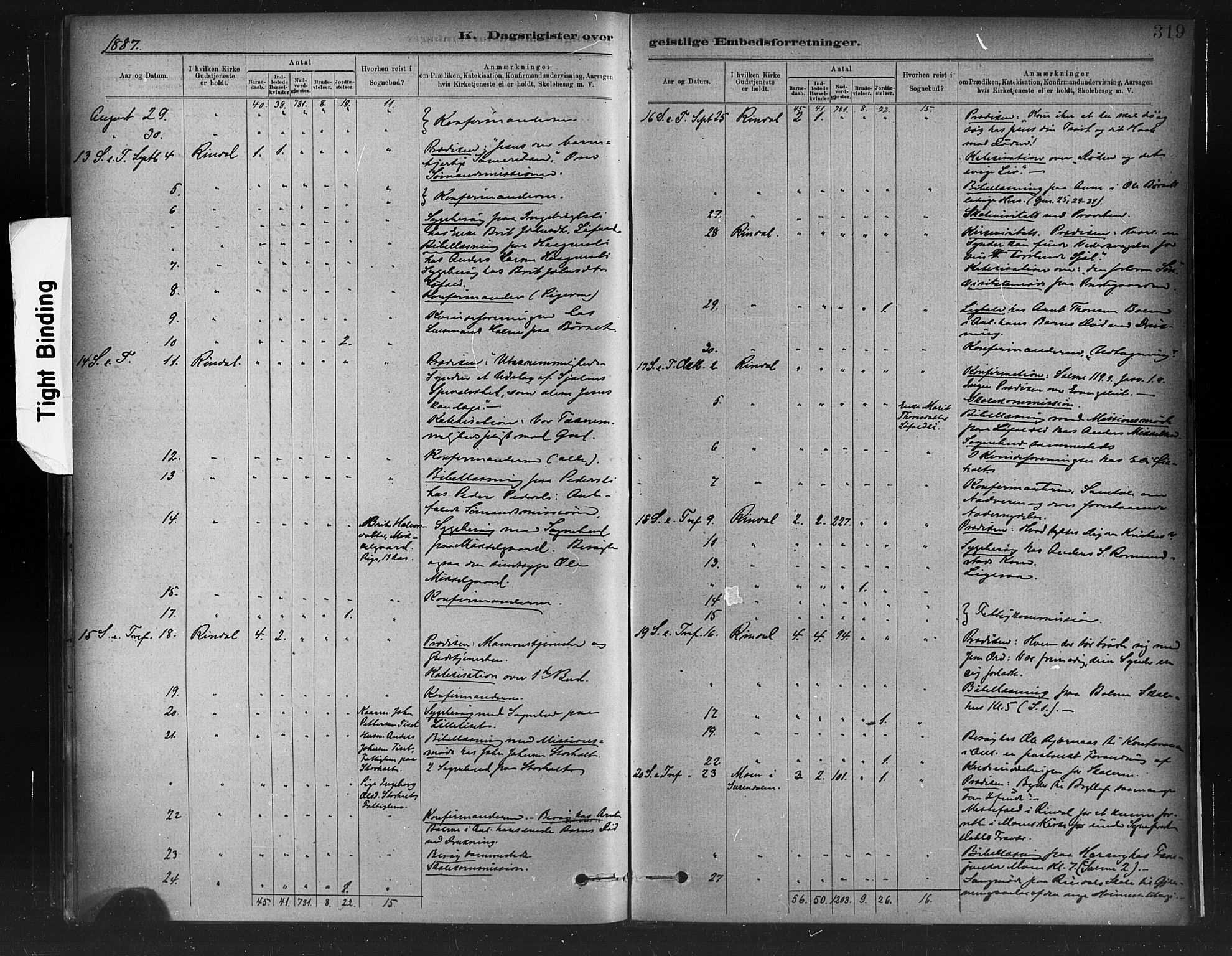 Ministerialprotokoller, klokkerbøker og fødselsregistre - Møre og Romsdal, AV/SAT-A-1454/598/L1069: Parish register (official) no. 598A03, 1882-1895, p. 319