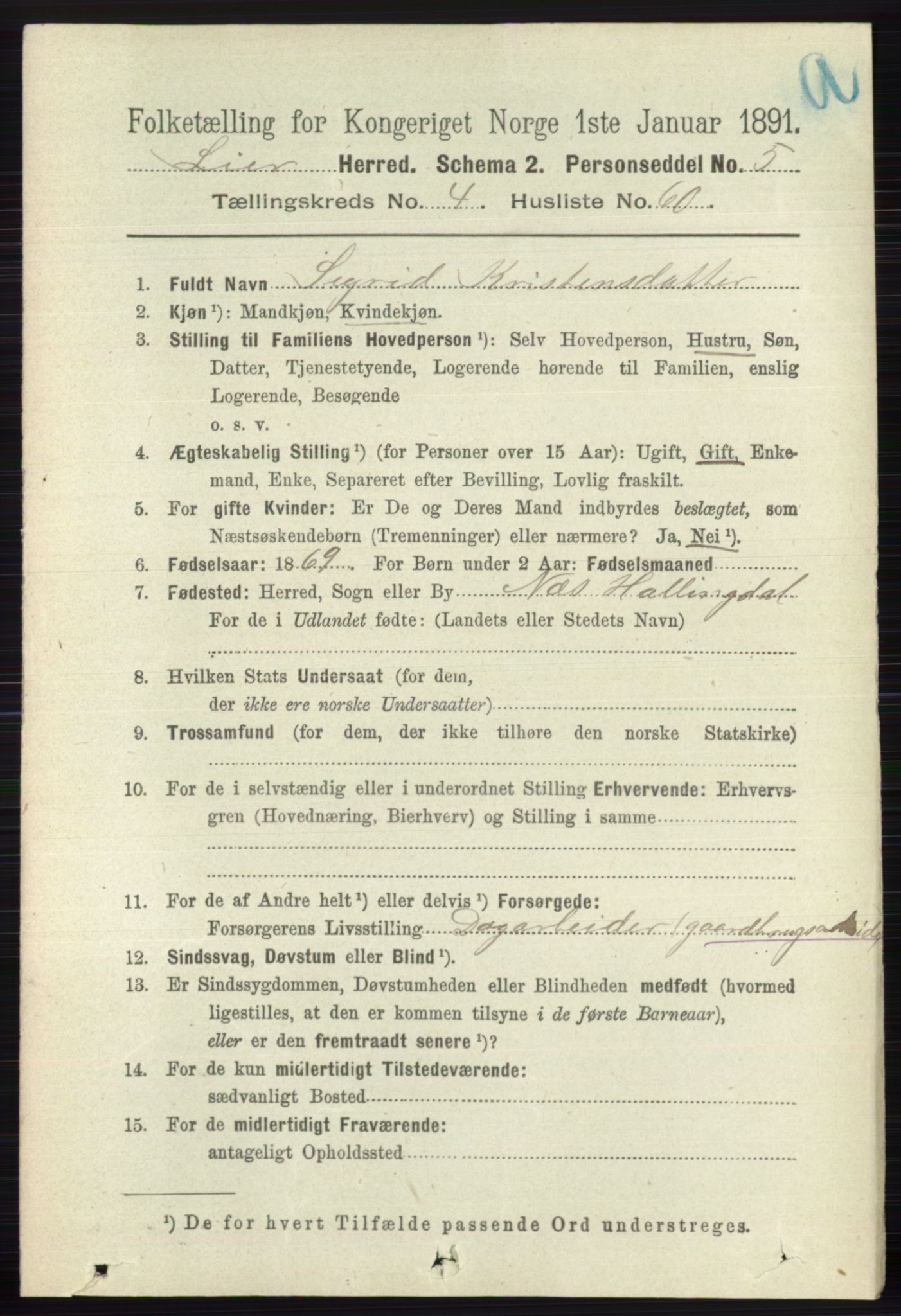 RA, 1891 census for 0626 Lier, 1891, p. 3211