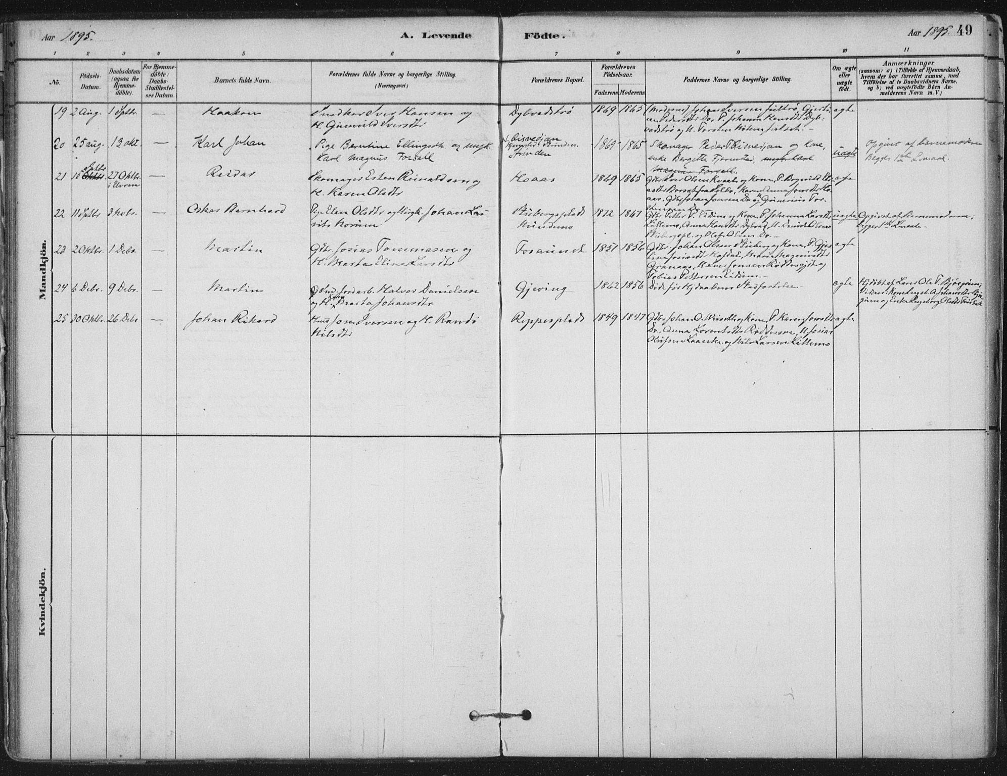 Ministerialprotokoller, klokkerbøker og fødselsregistre - Nord-Trøndelag, AV/SAT-A-1458/710/L0095: Parish register (official) no. 710A01, 1880-1914, p. 49