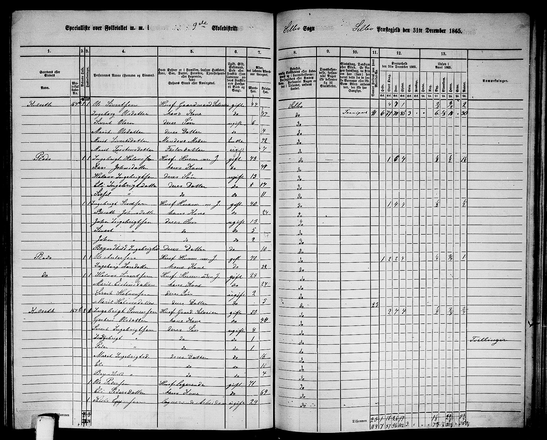 RA, 1865 census for Selbu, 1865, p. 173