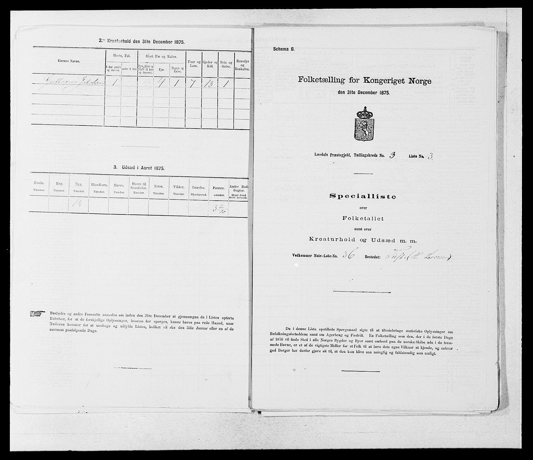 SAB, 1875 census for 1422P Lærdal, 1875, p. 1069