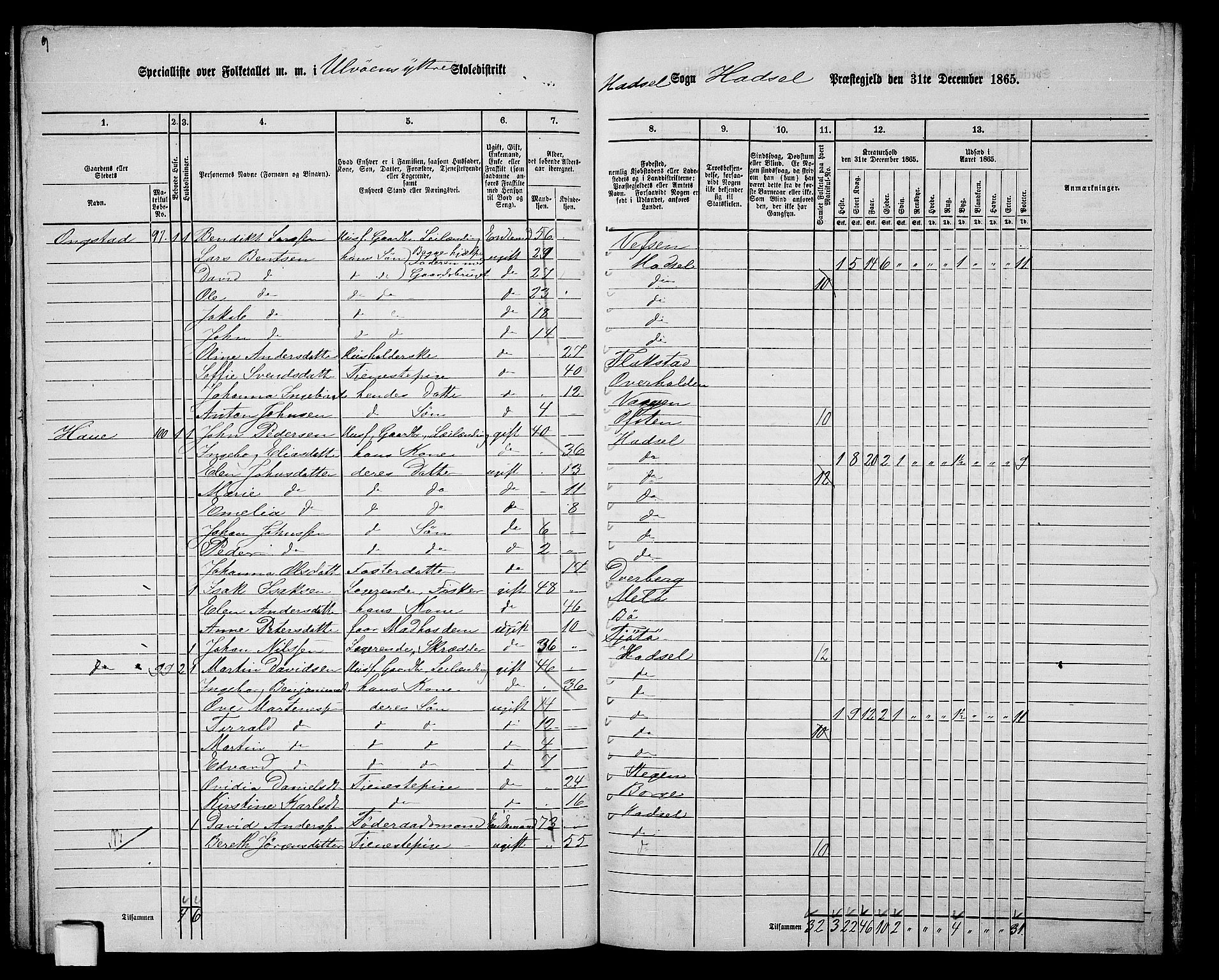 RA, 1865 census for Hadsel, 1865, p. 94