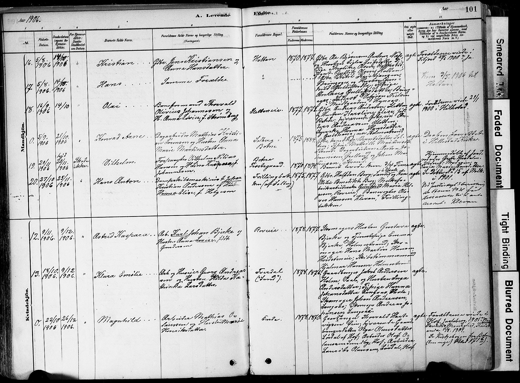 Botne kirkebøker, AV/SAKO-A-340/F/Fa/L0007: Parish register (official) no. I 7, 1878-1910, p. 101