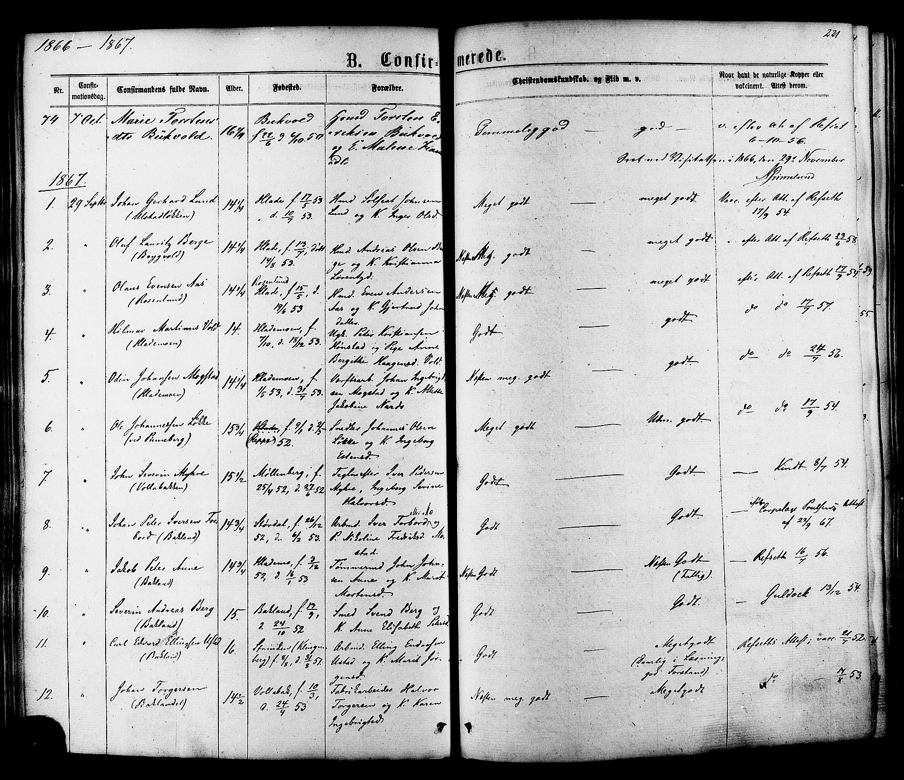 Ministerialprotokoller, klokkerbøker og fødselsregistre - Sør-Trøndelag, SAT/A-1456/606/L0293: Parish register (official) no. 606A08, 1866-1877, p. 221