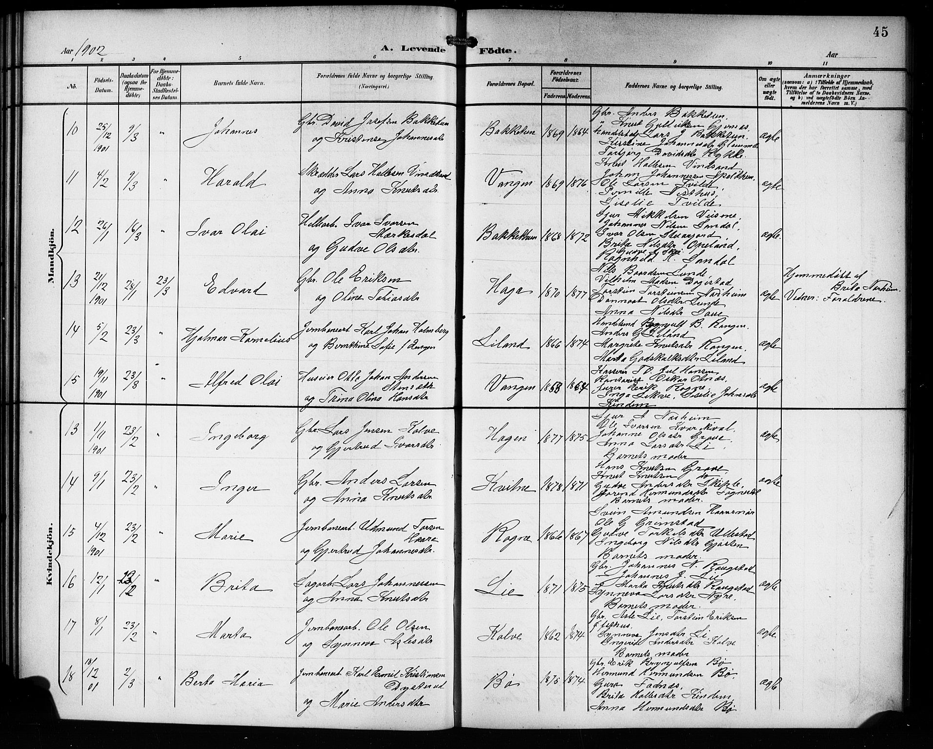 Voss sokneprestembete, AV/SAB-A-79001/H/Hab: Parish register (copy) no. C 2, 1900-1909, p. 45