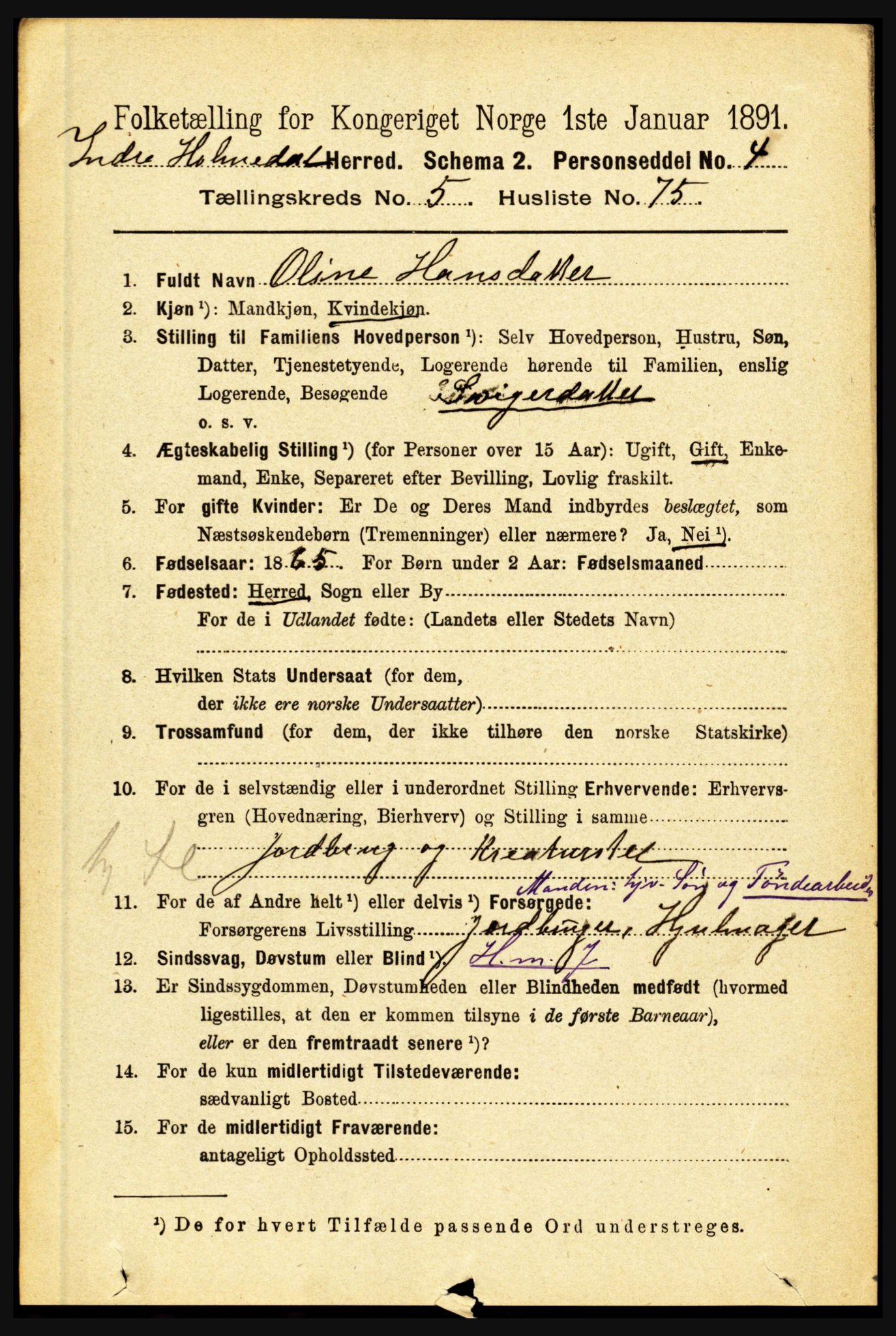 RA, 1891 census for 1430 Indre Holmedal, 1891, p. 2381