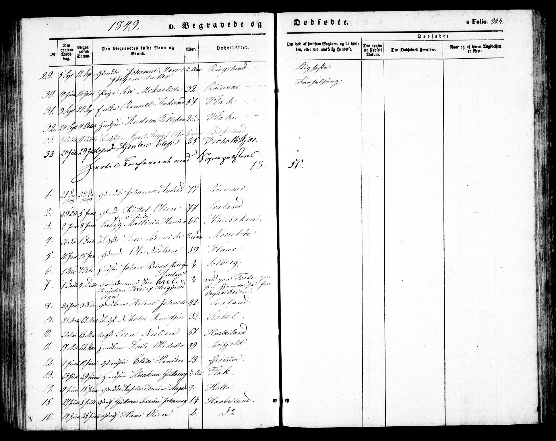 Birkenes sokneprestkontor, AV/SAK-1111-0004/F/Fb/L0002: Parish register (copy) no. B 2, 1849-1876, p. 324