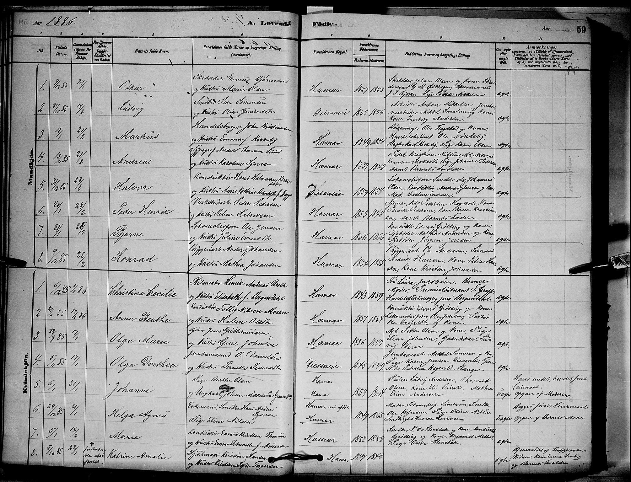 Vang prestekontor, Hedmark, SAH/PREST-008/H/Ha/Hab/L0012: Parish register (copy) no. 12, 1878-1889, p. 59