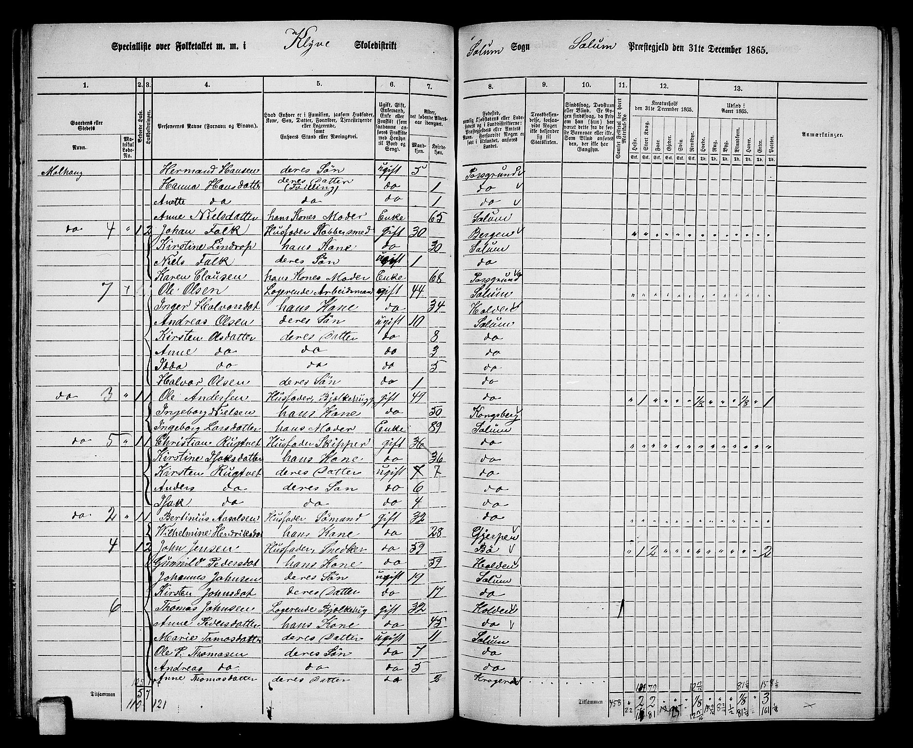 RA, 1865 census for Solum, 1865, p. 89