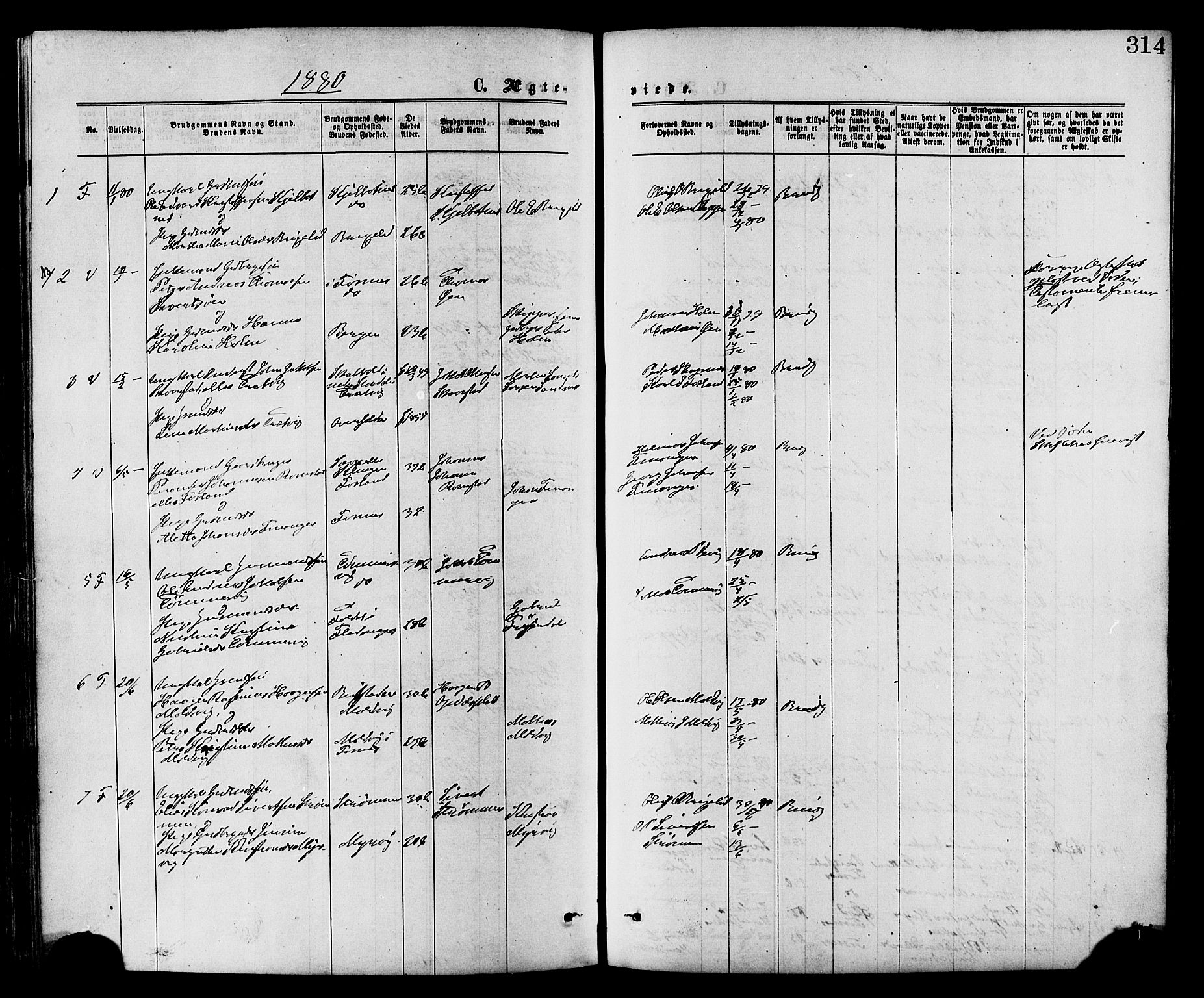 Ministerialprotokoller, klokkerbøker og fødselsregistre - Nord-Trøndelag, SAT/A-1458/773/L0616: Parish register (official) no. 773A07, 1870-1887, p. 314