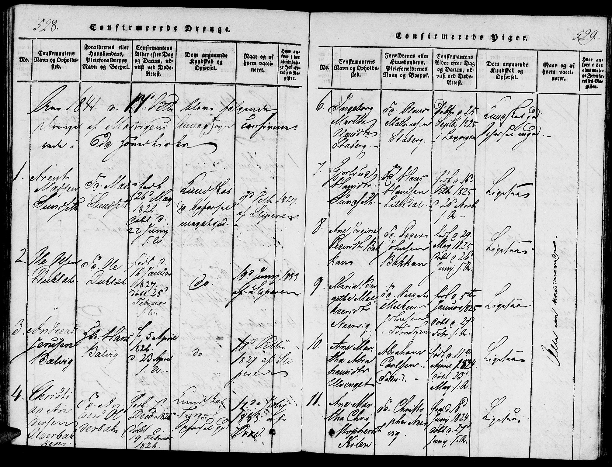 Ministerialprotokoller, klokkerbøker og fødselsregistre - Nord-Trøndelag, AV/SAT-A-1458/733/L0322: Parish register (official) no. 733A01, 1817-1842, p. 528-529