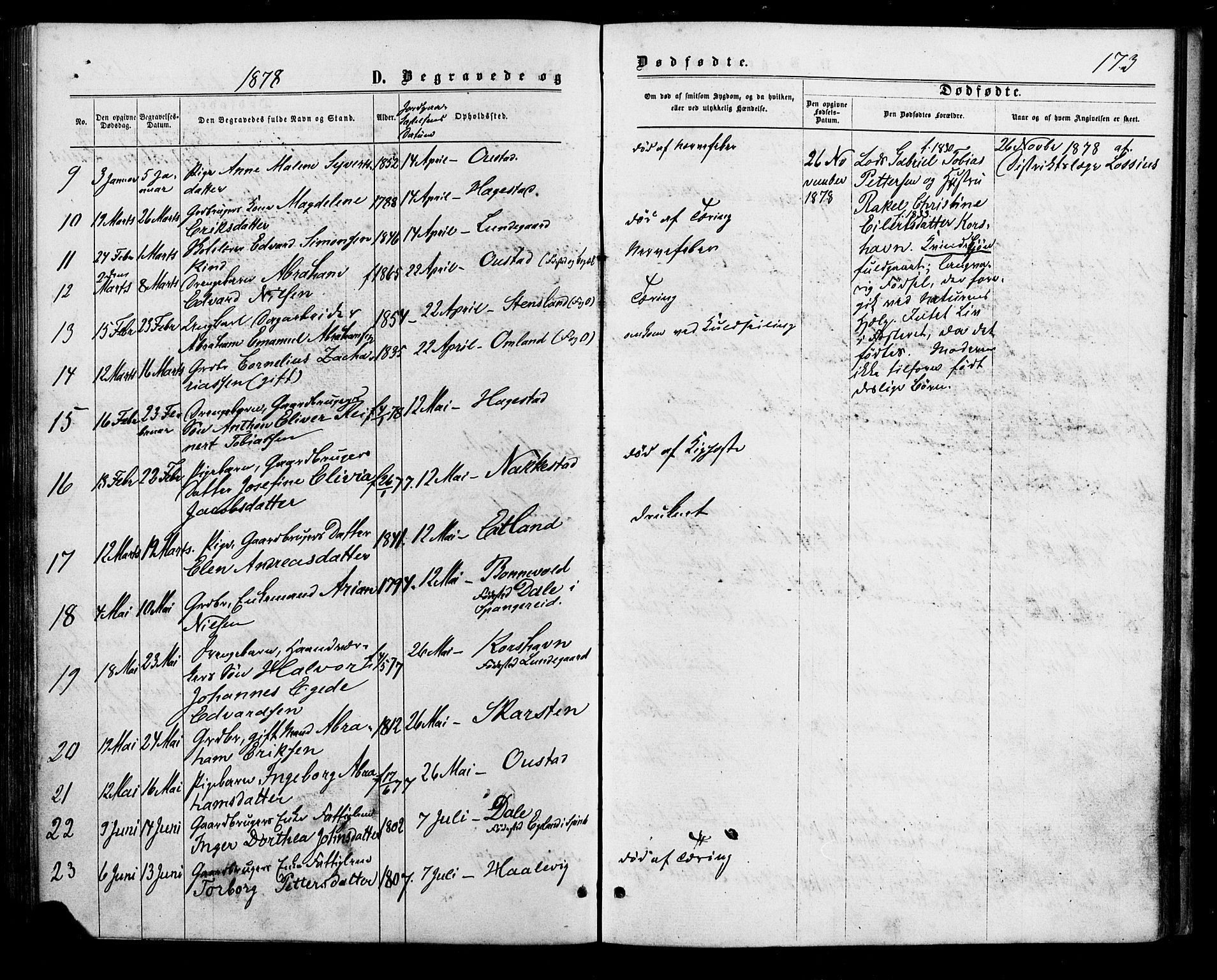 Lyngdal sokneprestkontor, AV/SAK-1111-0029/F/Fa/Faa/L0003: Parish register (official) no. A 3, 1871-1882, p. 173