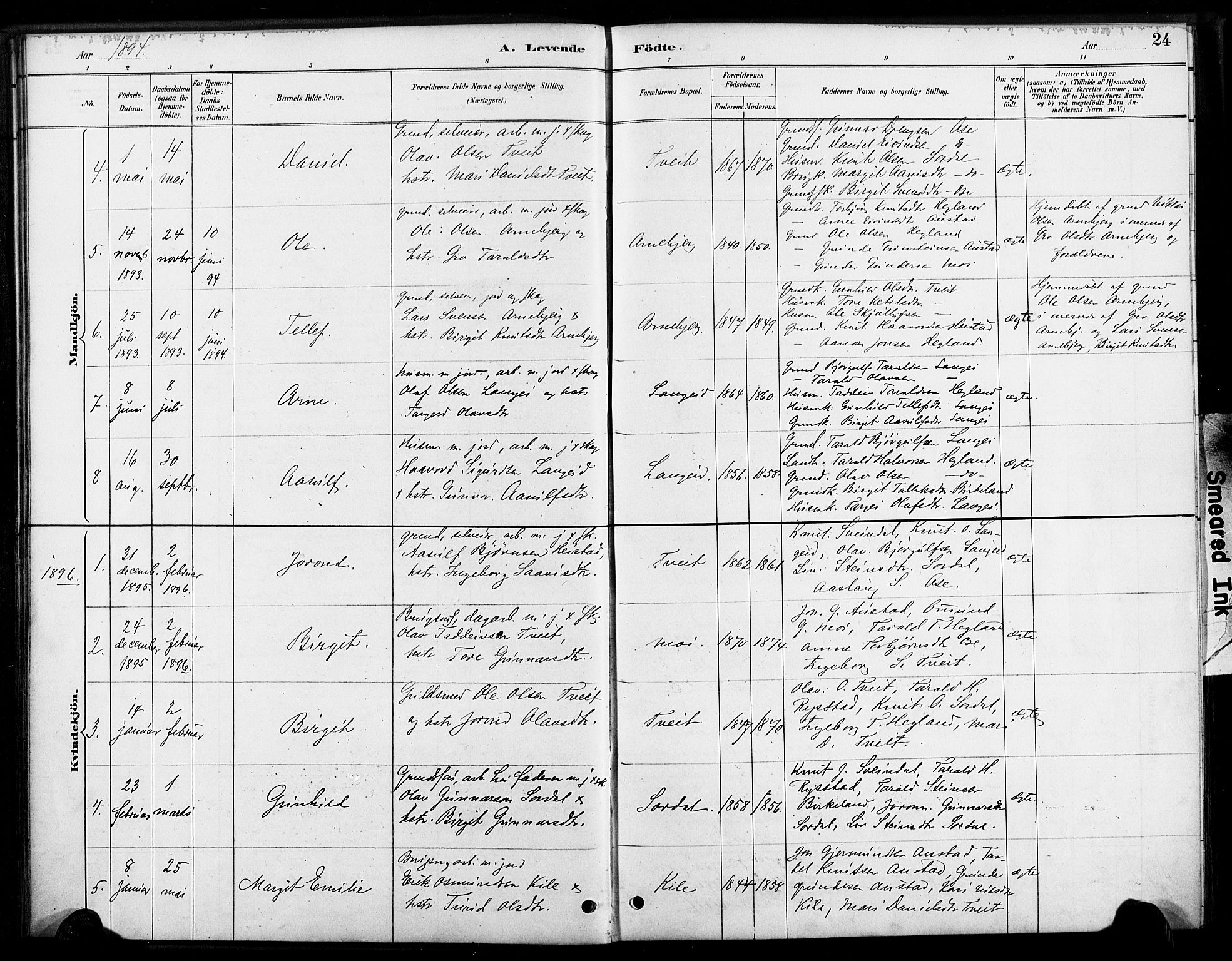 Bygland sokneprestkontor, SAK/1111-0006/F/Fa/Faa/L0001: Parish register (official) no. A 1, 1885-1908, p. 24