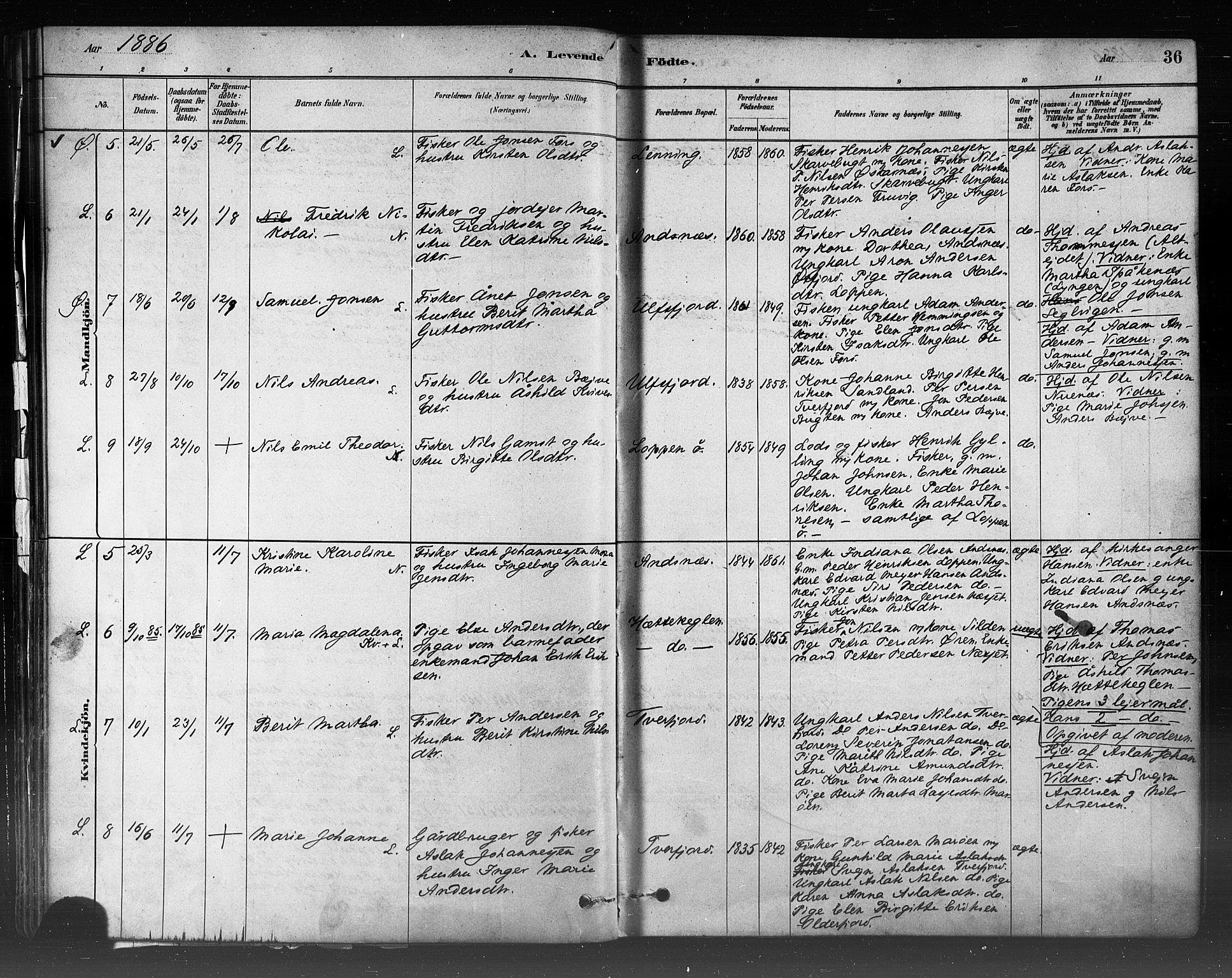 Loppa sokneprestkontor, AV/SATØ-S-1339/H/Ha/L0006kirke: Parish register (official) no. 6, 1879-1895, p. 36