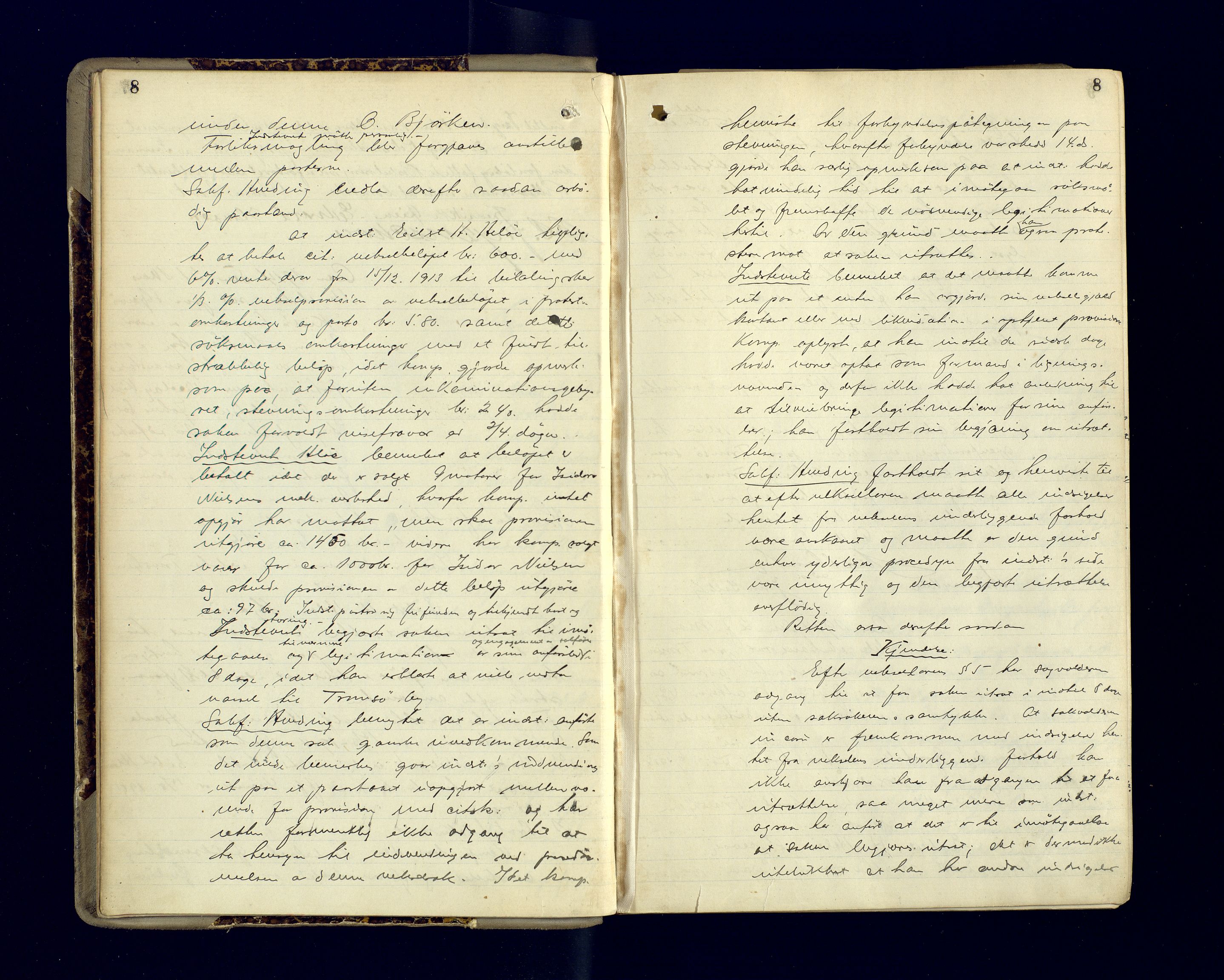 Malangen sorenskriveri, AV/SATØ-SATØ-0051/1/F/Fa/L0034: Ekstraretts- og sjørettsprotokoller. Med noen vigsler (f.eks. side 229), 1913-1924, p. 8