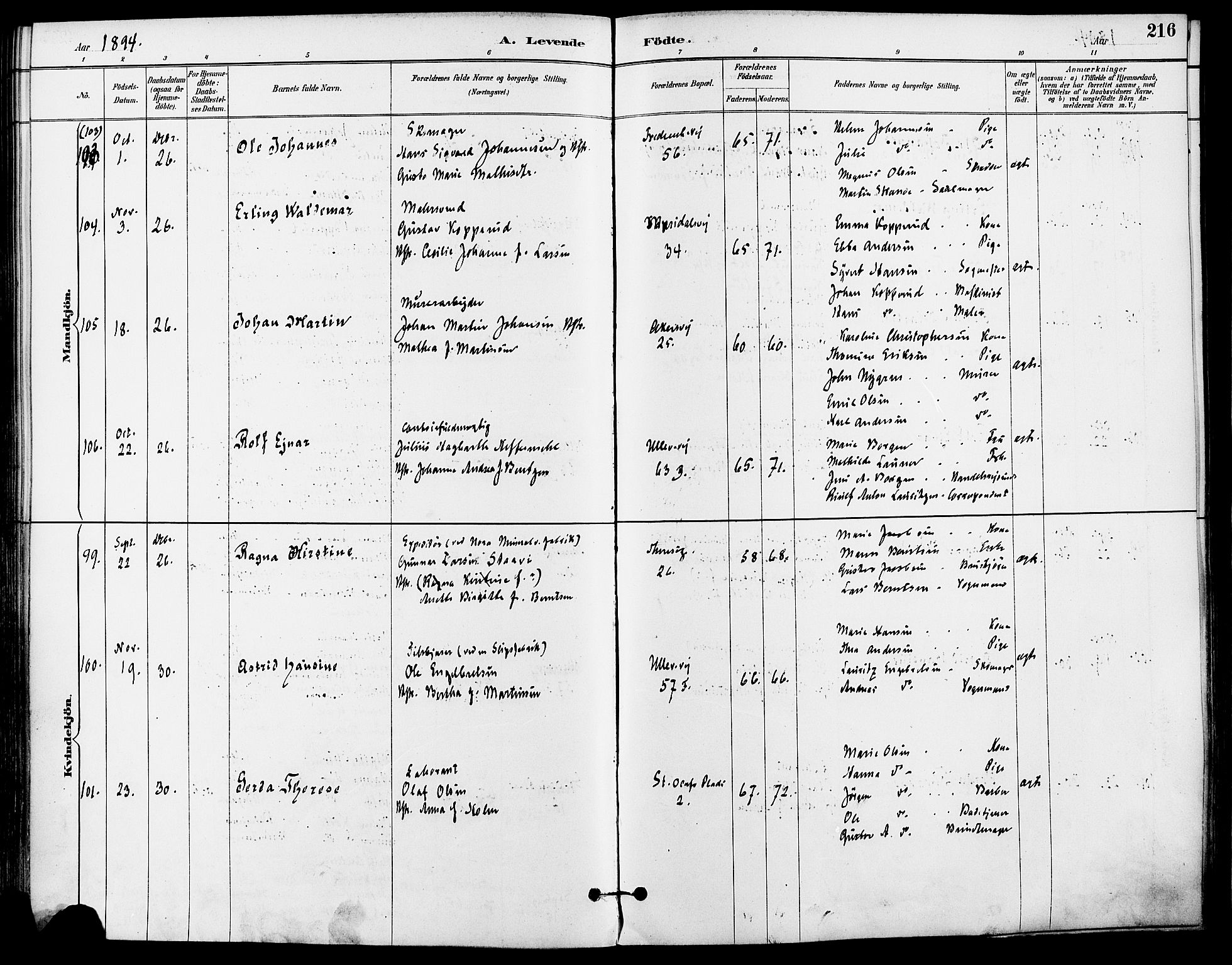 Gamle Aker prestekontor Kirkebøker, AV/SAO-A-10617a/F/L0008: Parish register (official) no. 8, 1887-1896, p. 216