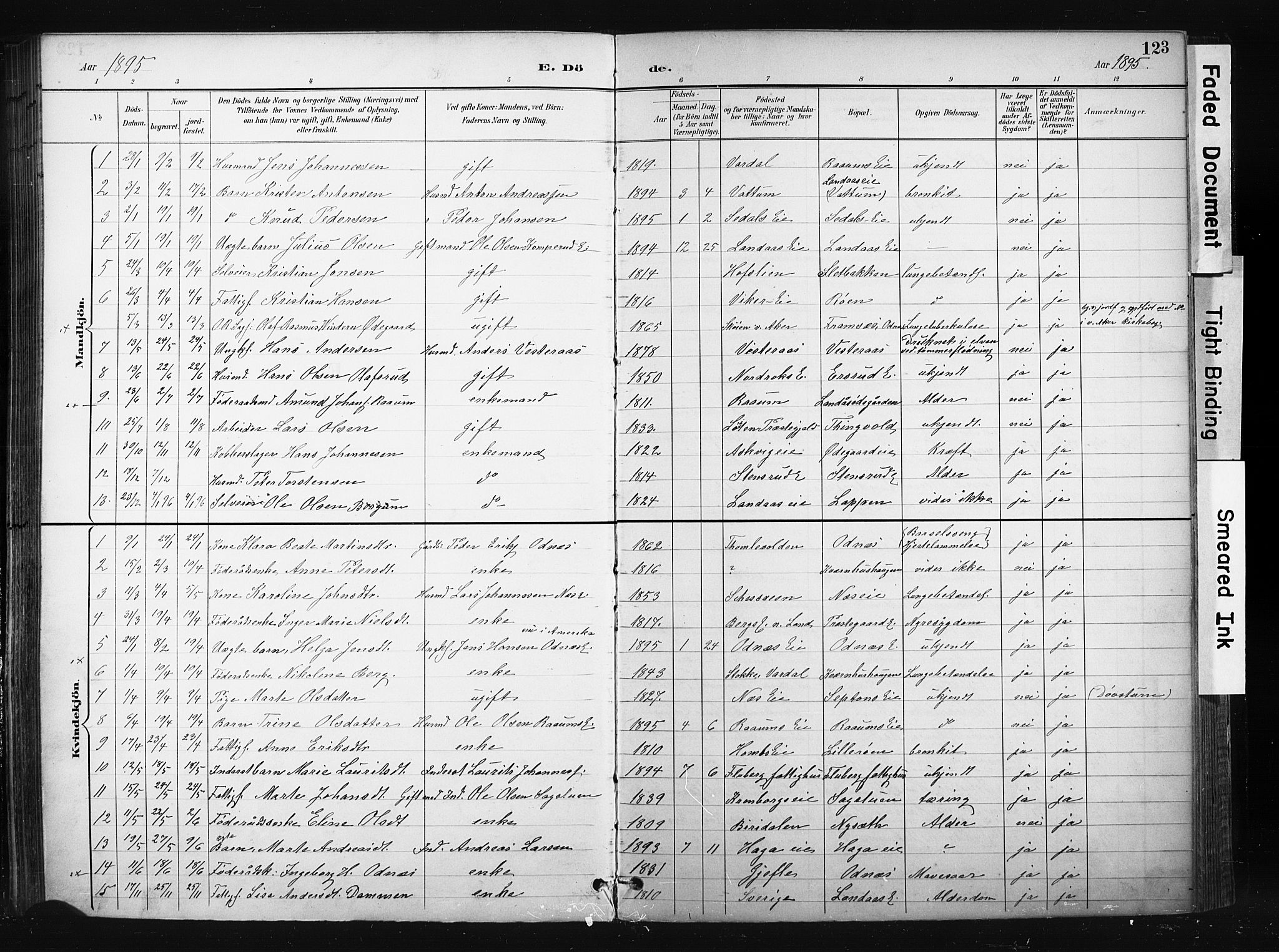Søndre Land prestekontor, SAH/PREST-122/K/L0004: Parish register (official) no. 4, 1895-1904, p. 123