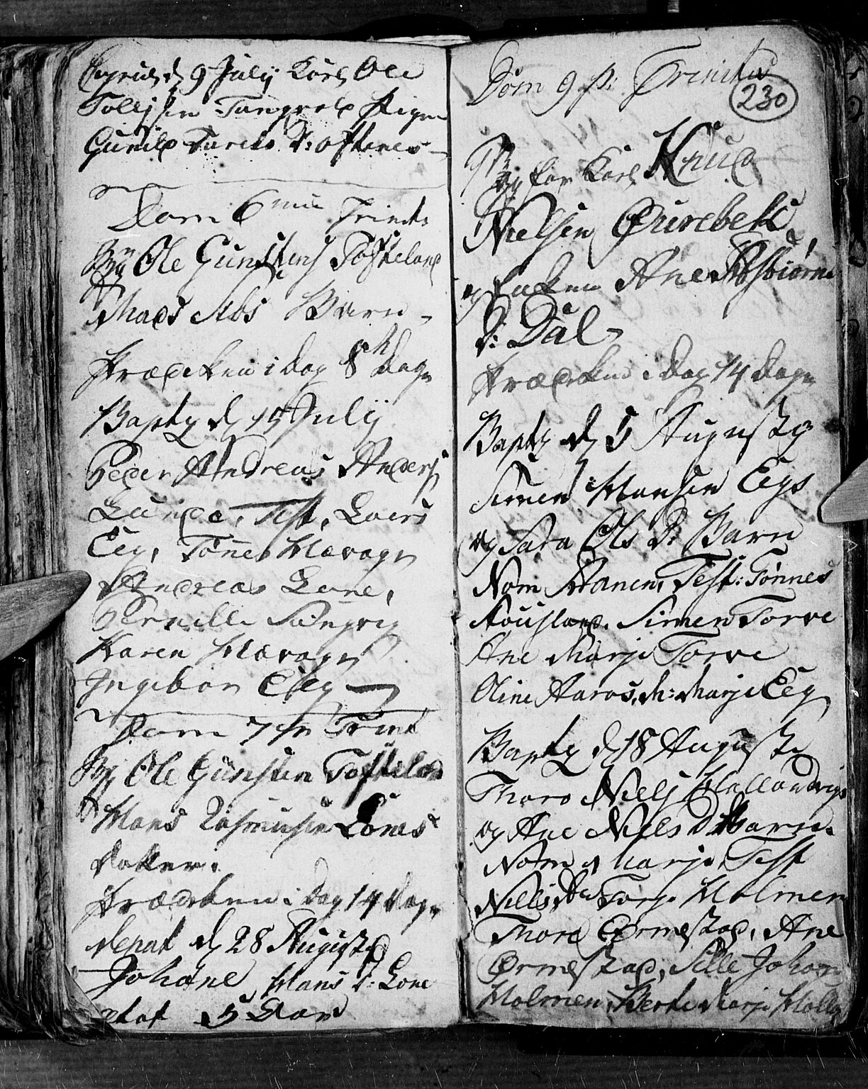 Søgne sokneprestkontor, AV/SAK-1111-0037/F/Fb/Fbb/L0001: Parish register (copy) no. B 1, 1779-1802, p. 230