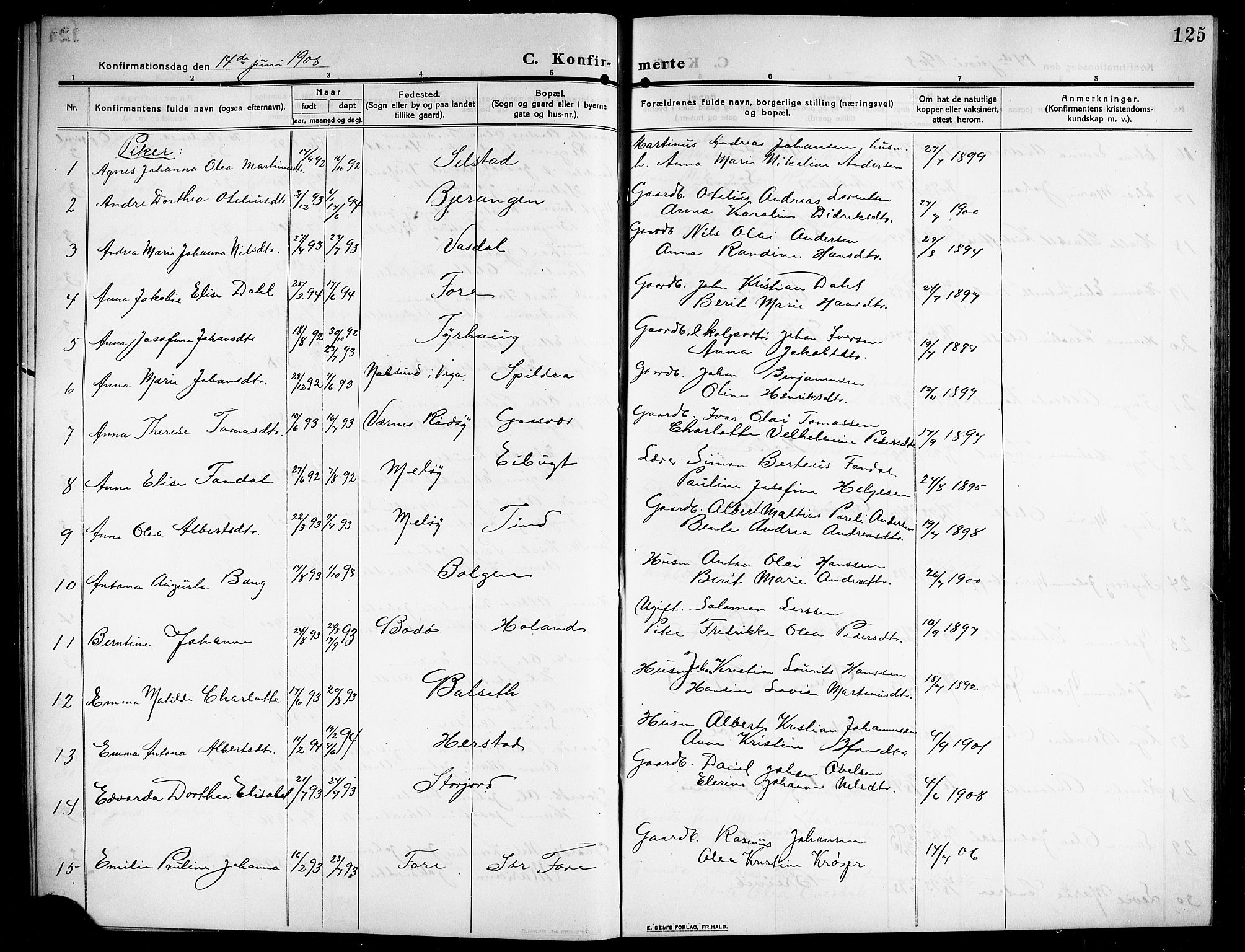 Ministerialprotokoller, klokkerbøker og fødselsregistre - Nordland, SAT/A-1459/843/L0639: Parish register (copy) no. 843C08, 1908-1924, p. 125