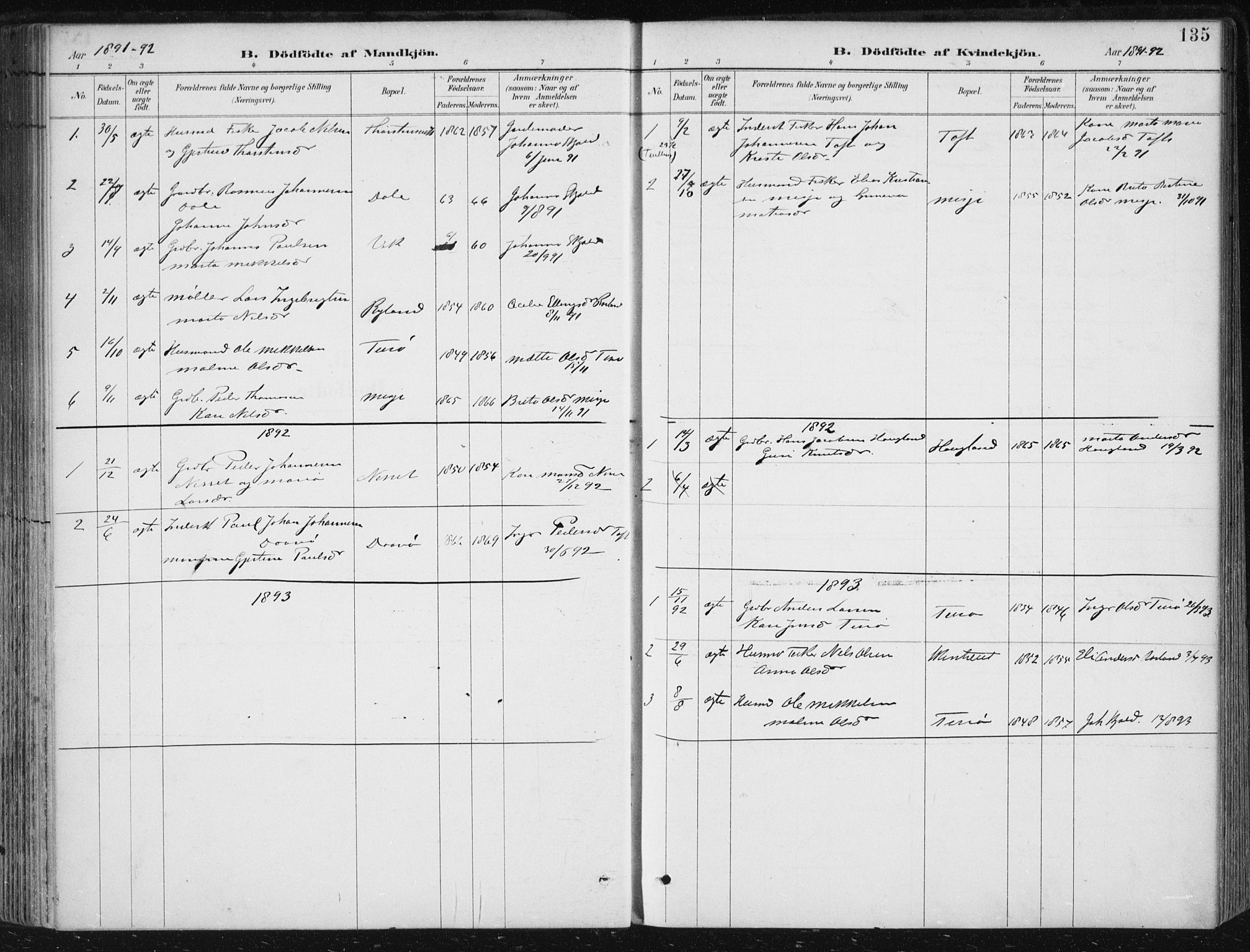 Herdla Sokneprestembete, AV/SAB-A-75701/H/Haa: Parish register (official) no. A 4, 1891-1905, p. 135