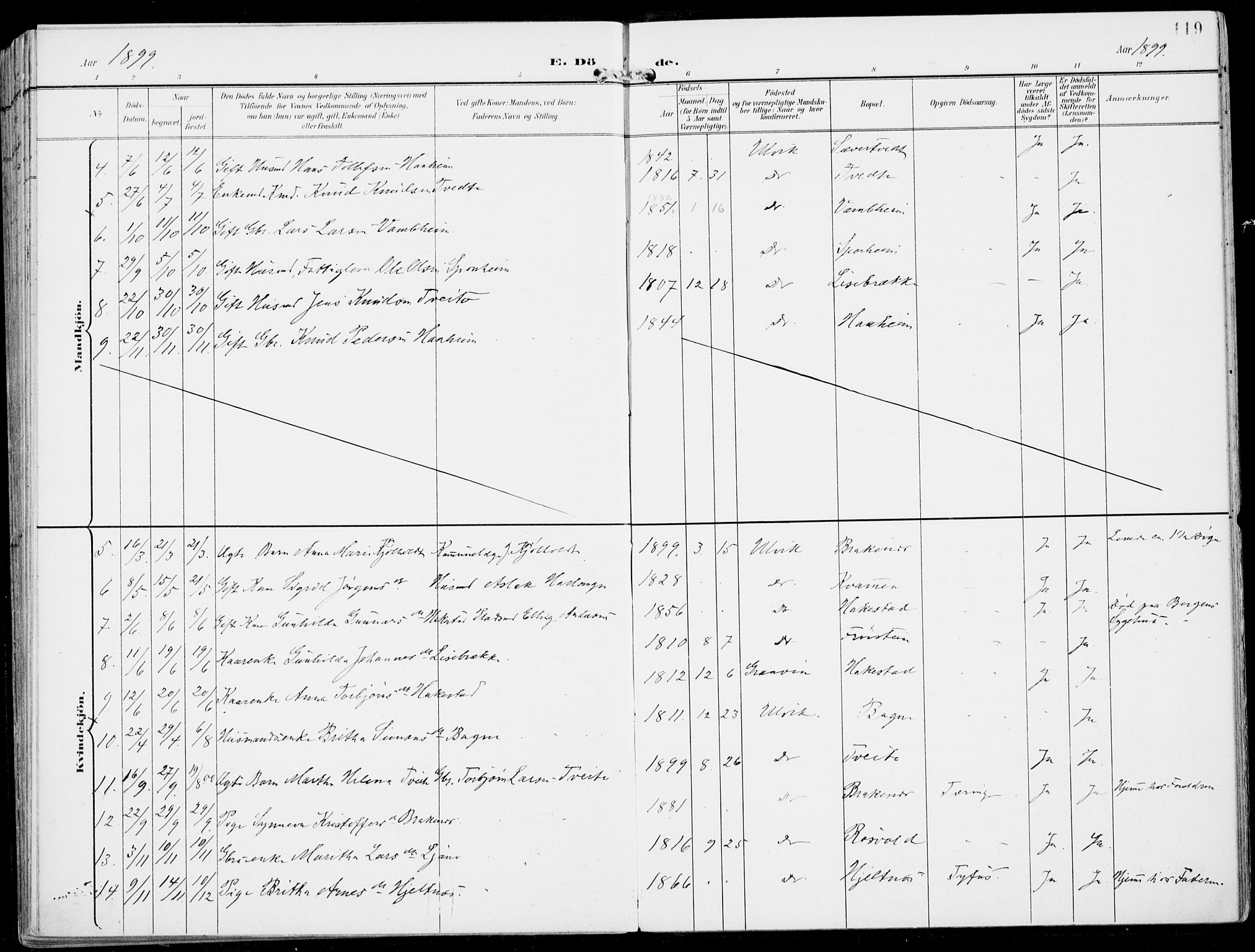 Ulvik sokneprestembete, AV/SAB-A-78801/H/Haa: Parish register (official) no. B  2, 1898-1924, p. 119