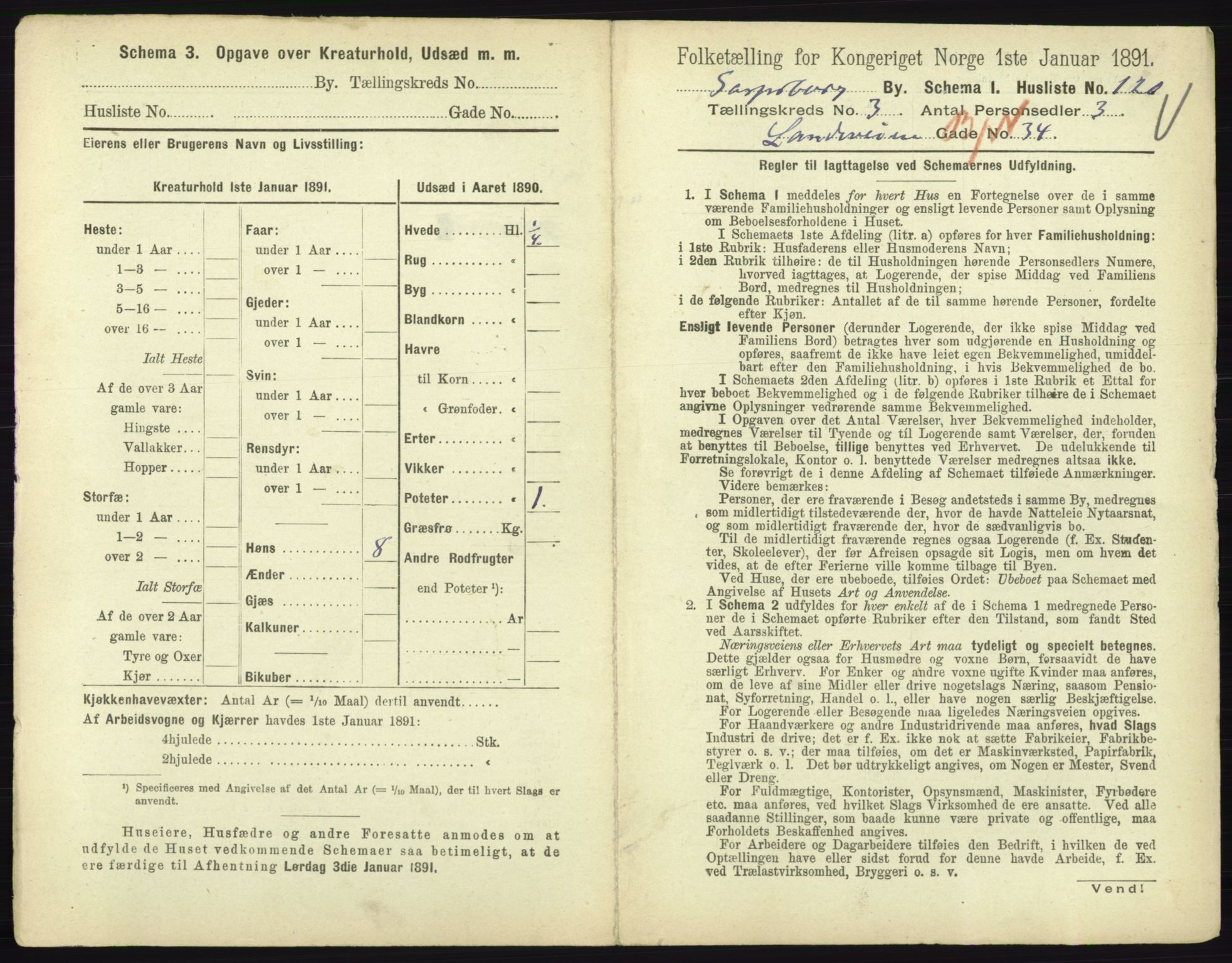 RA, 1891 census for 0102 Sarpsborg, 1891, p. 2428