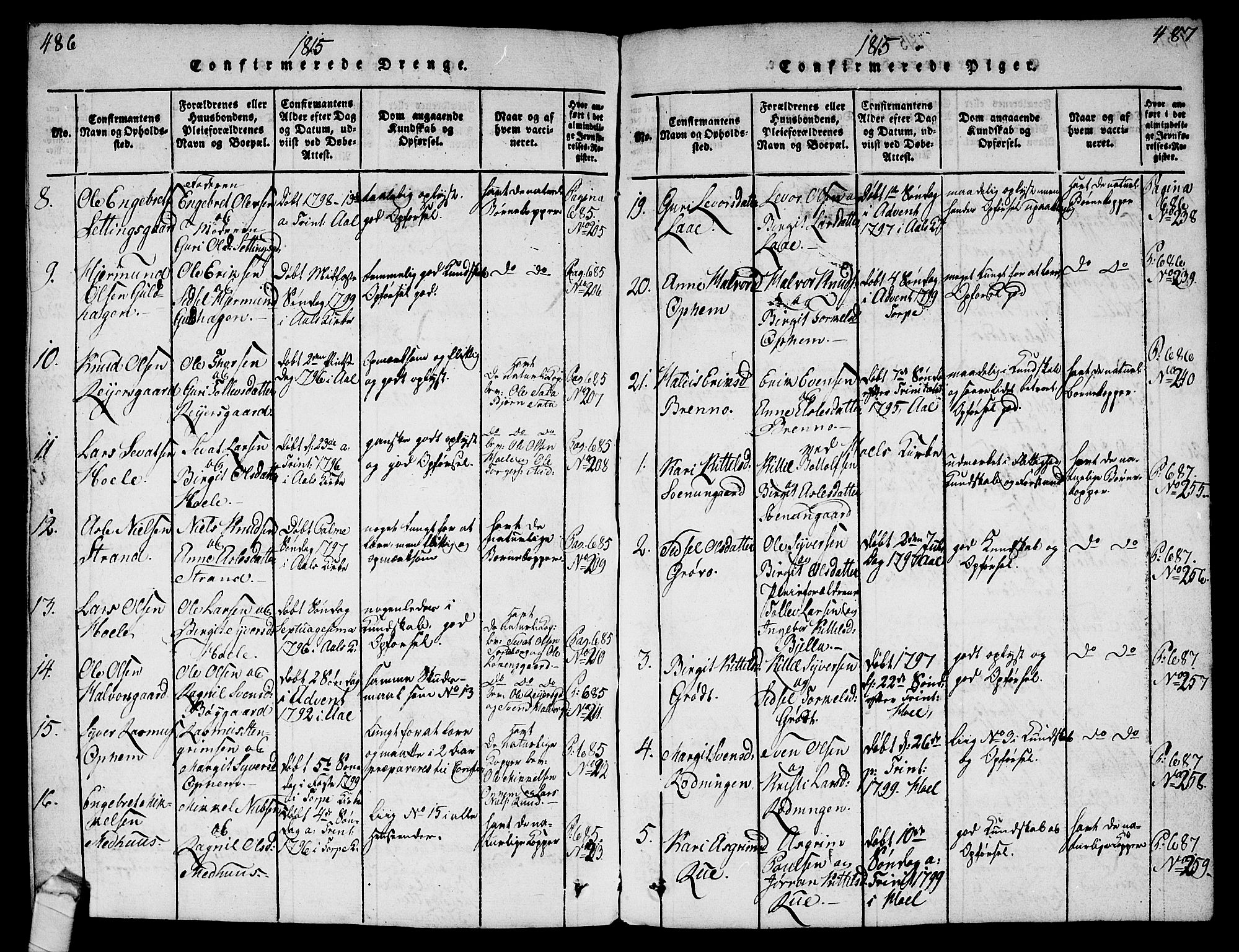 Ål kirkebøker, AV/SAKO-A-249/G/Ga/L0001: Parish register (copy) no. 1, 1815-1829, p. 486-487