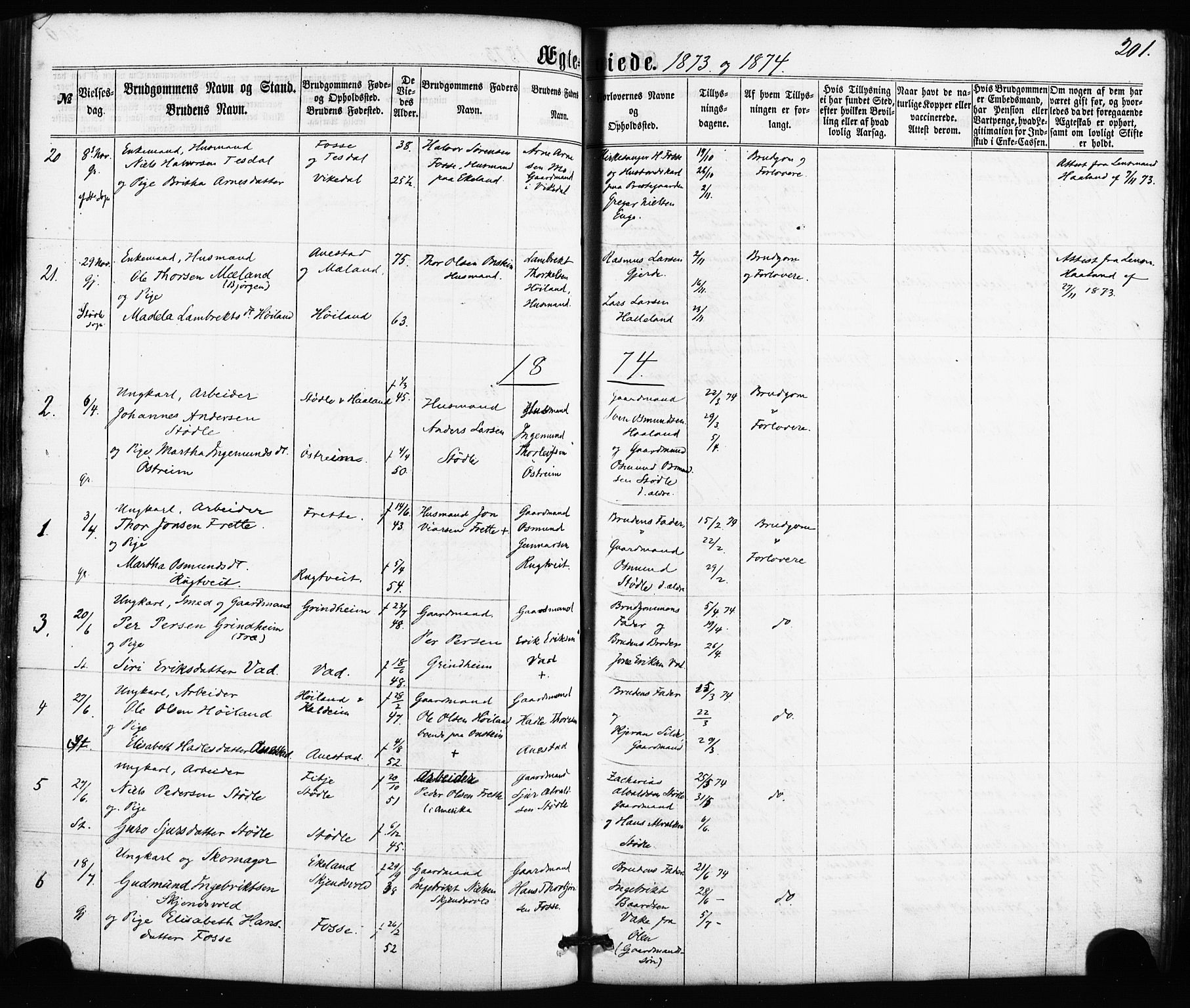 Etne sokneprestembete, SAB/A-75001/H/Haa: Parish register (official) no. A 9, 1862-1878, p. 201
