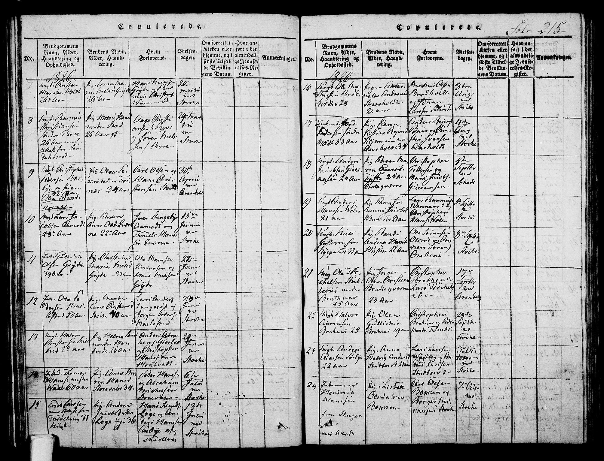 Stokke kirkebøker, AV/SAKO-A-320/F/Fa/L0005: Parish register (official) no. I 5, 1815-1826, p. 215