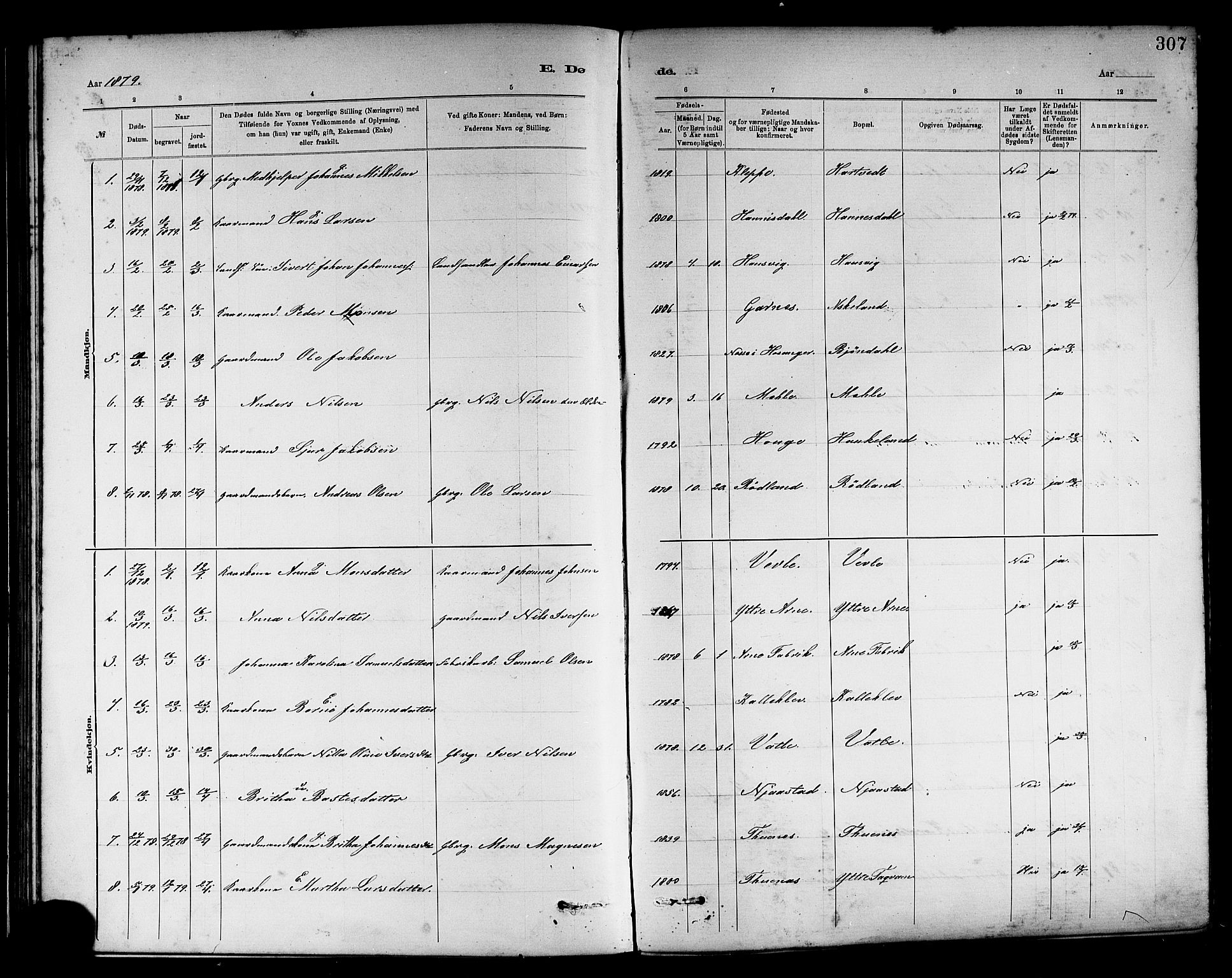 Haus sokneprestembete, AV/SAB-A-75601/H/Haa: Parish register (official) no. A 19II, 1878-1886, p. 307