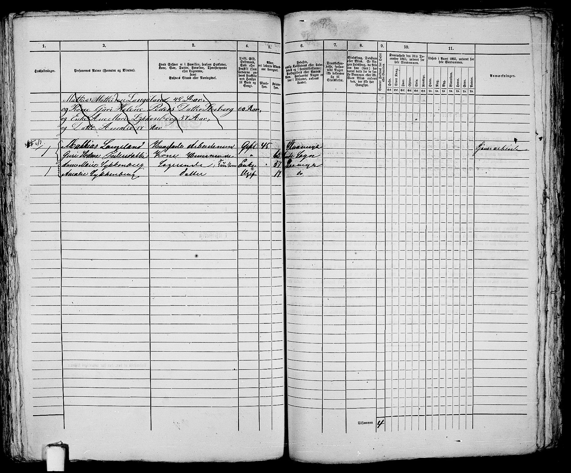 RA, 1865 census for Stavanger, 1865, p. 459