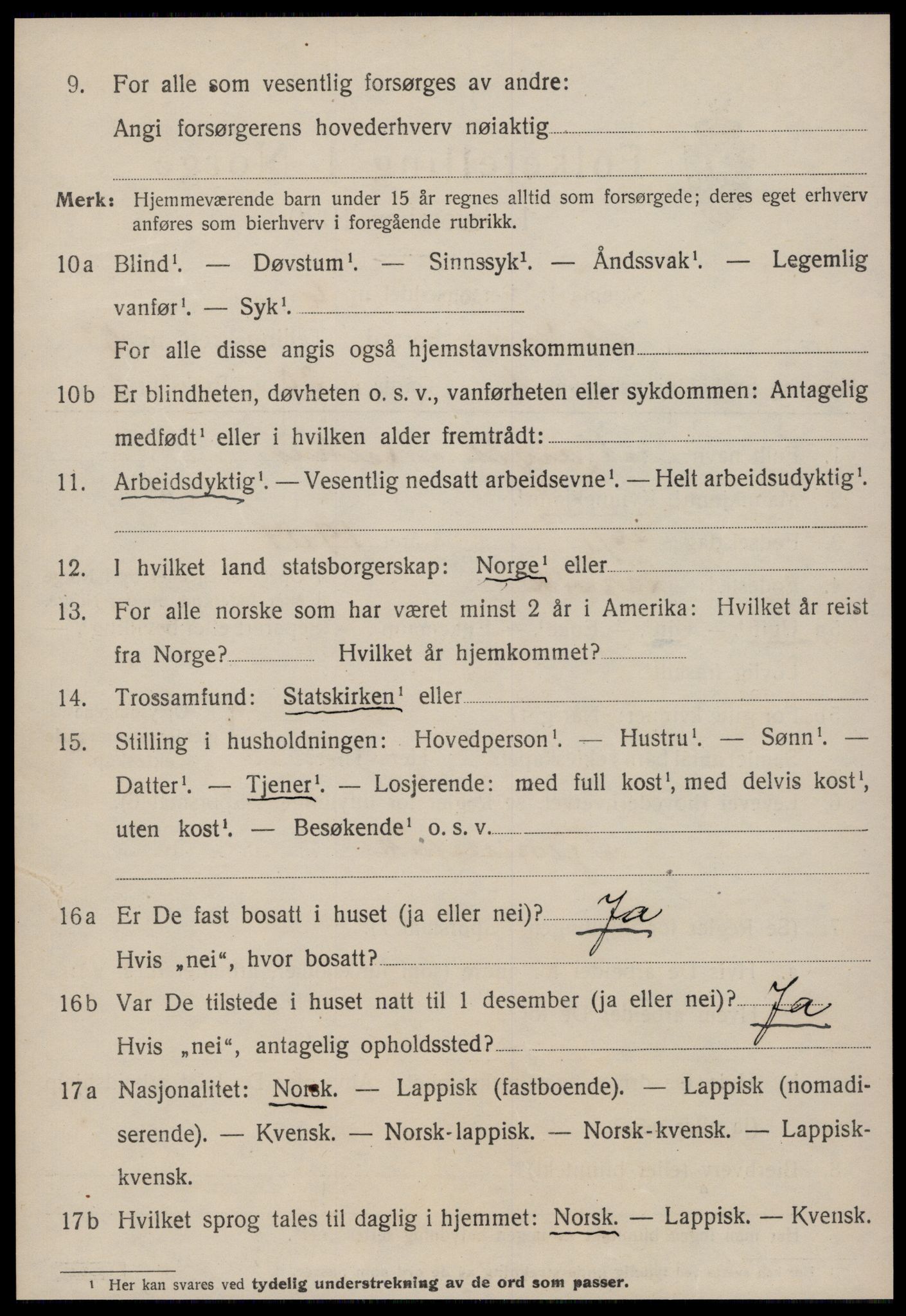 SAT, 1920 census for Strinda, 1920, p. 14155