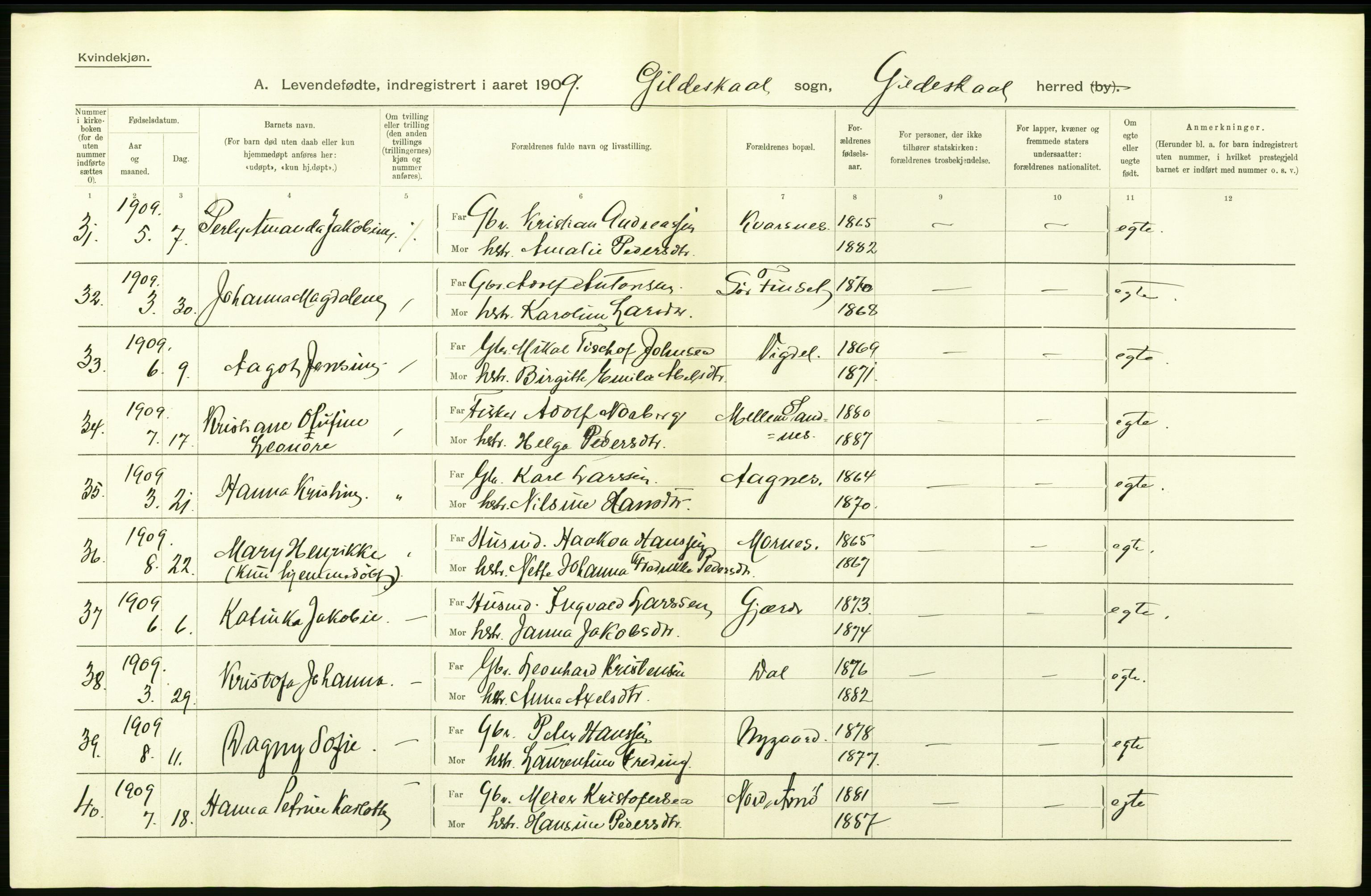 Statistisk sentralbyrå, Sosiodemografiske emner, Befolkning, AV/RA-S-2228/D/Df/Dfa/Dfag/L0044: Nordlands amt: Levendefødte menn og kvinner. Bygder., 1909, p. 18