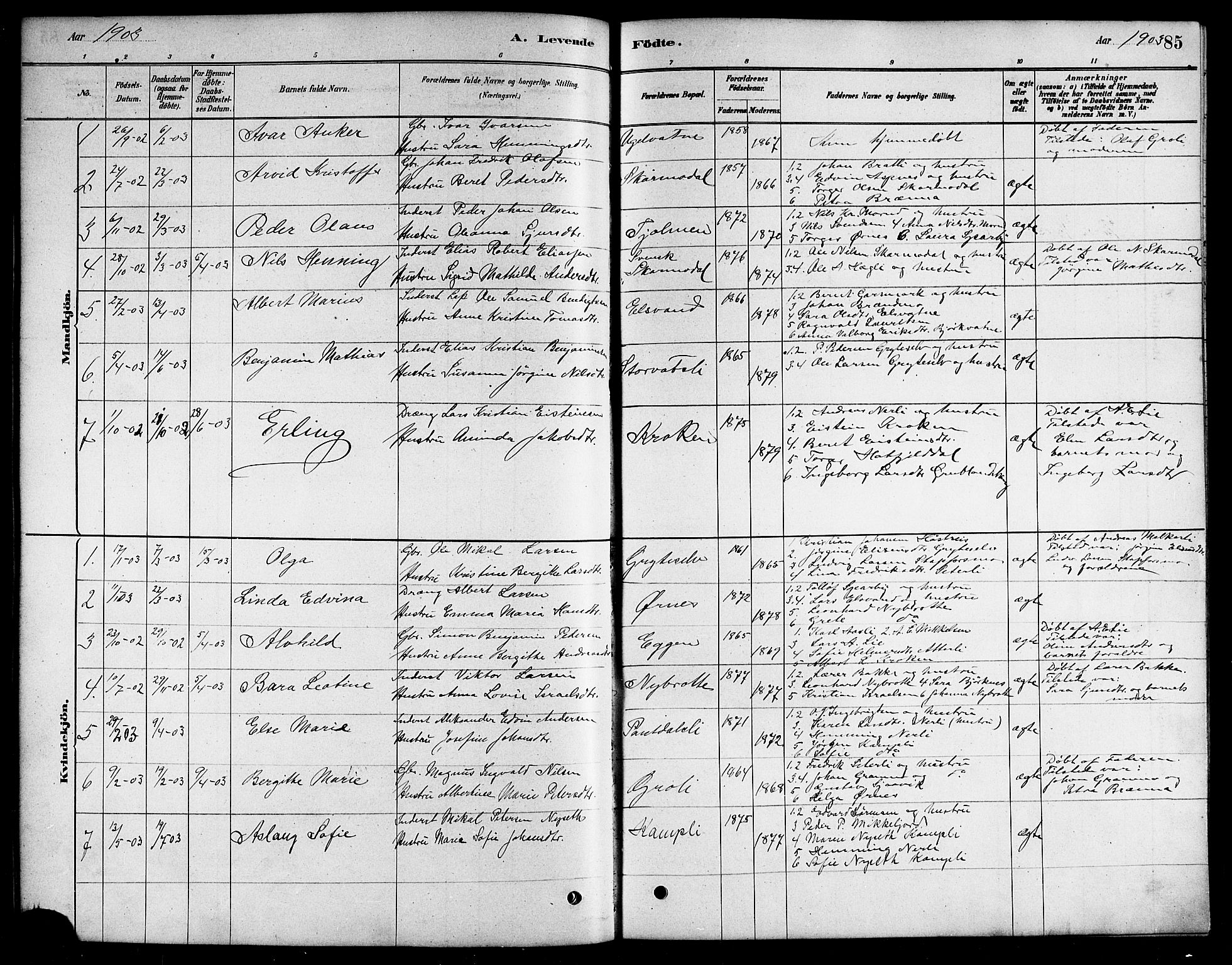 Ministerialprotokoller, klokkerbøker og fødselsregistre - Nordland, SAT/A-1459/823/L0330: Parish register (copy) no. 823C02, 1879-1916, p. 85