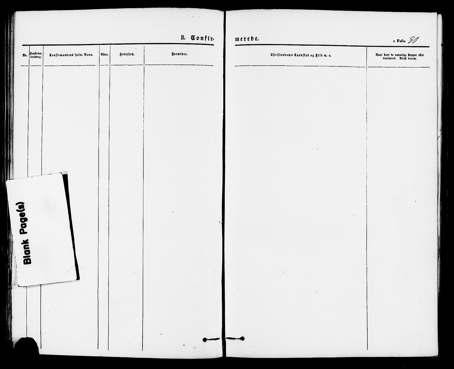 Vikedal sokneprestkontor, AV/SAST-A-101840/01/IV: Parish register (official) no. A 8, 1868-1885, p. 80