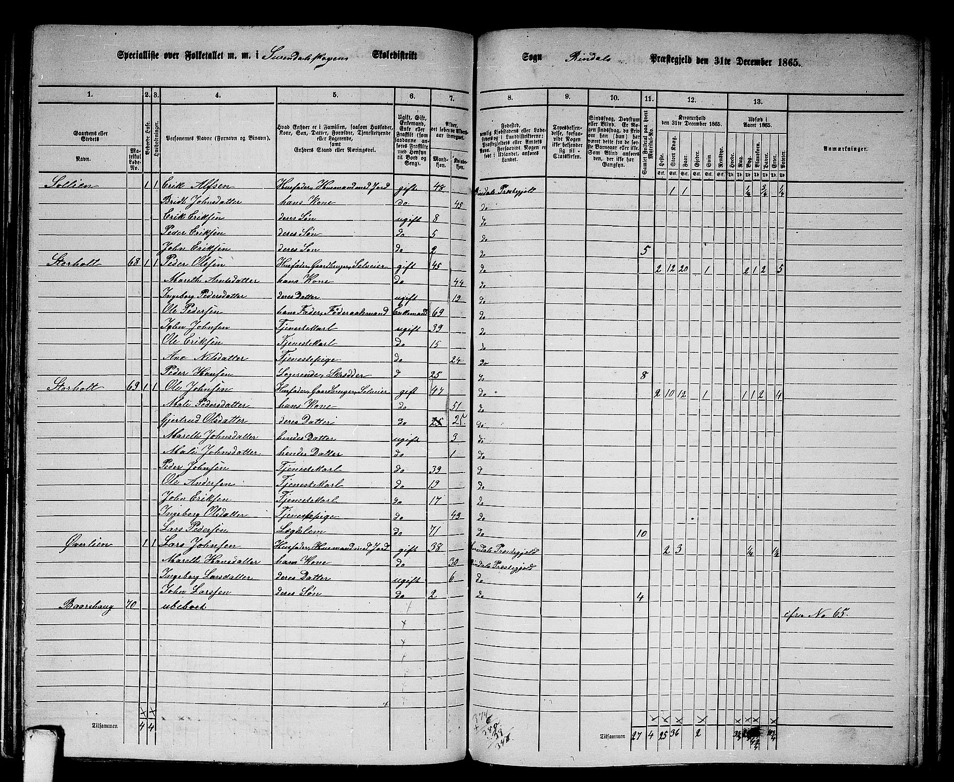 RA, 1865 census for Rindal, 1865, p. 35