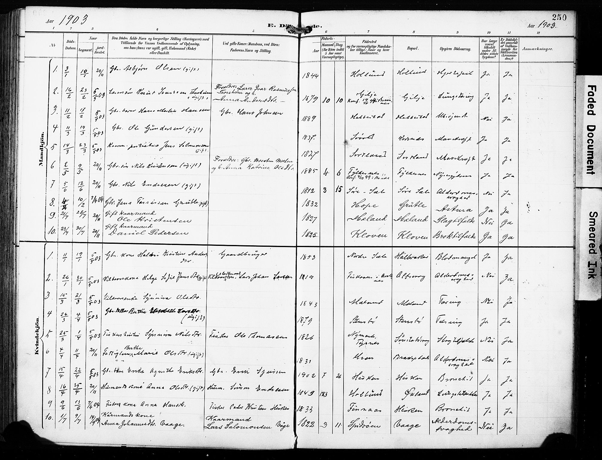 Finnås sokneprestembete, AV/SAB-A-99925/H/Ha/Haa/Haac/L0002: Parish register (official) no. C 2, 1895-1904, p. 250