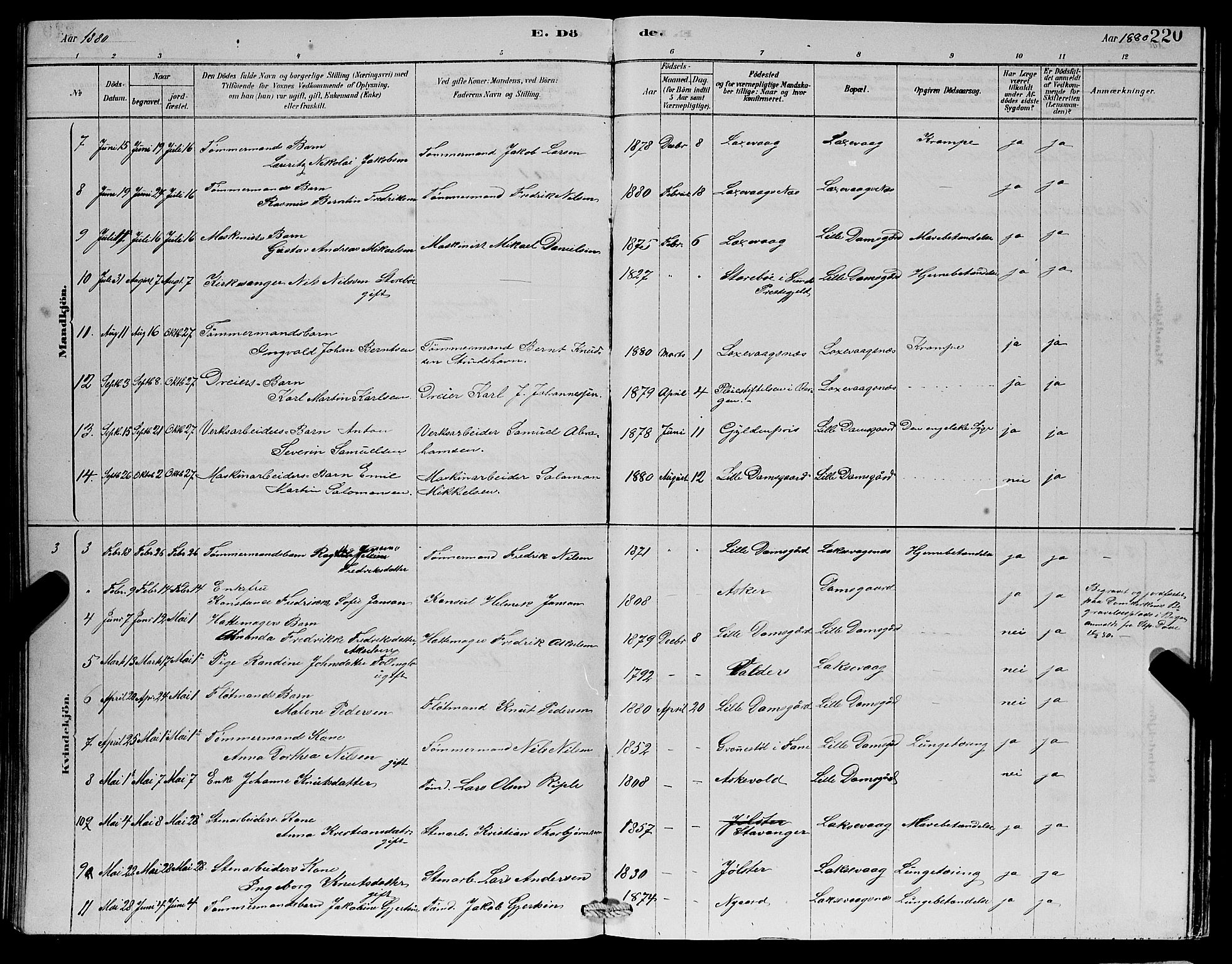 Laksevåg Sokneprestembete, AV/SAB-A-76501/H/Ha/Hab/Haba/L0002: Parish register (copy) no. A 2, 1877-1887, p. 220