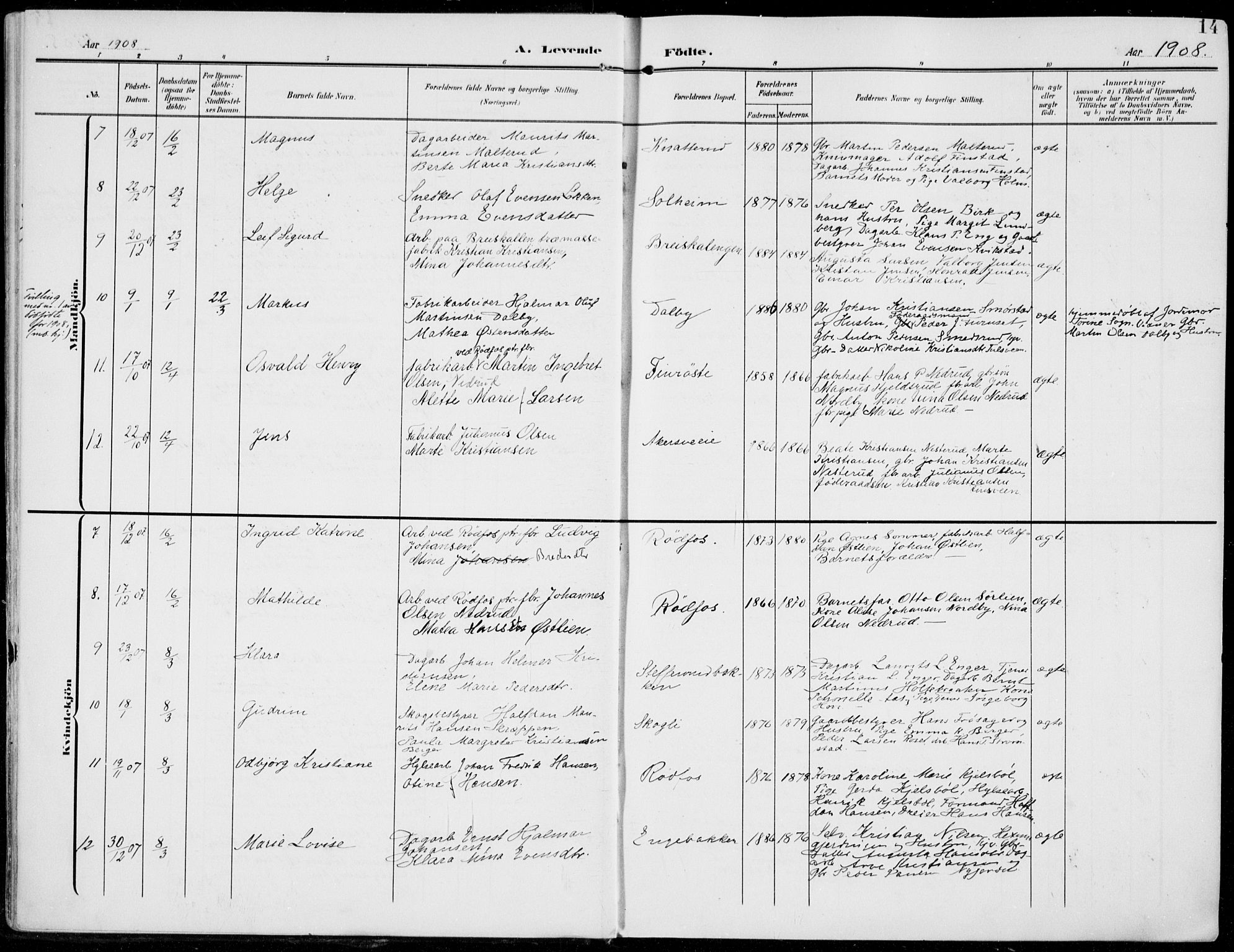 Vestre Toten prestekontor, AV/SAH-PREST-108/H/Ha/Haa/L0014: Parish register (official) no. 14, 1907-1920, p. 14