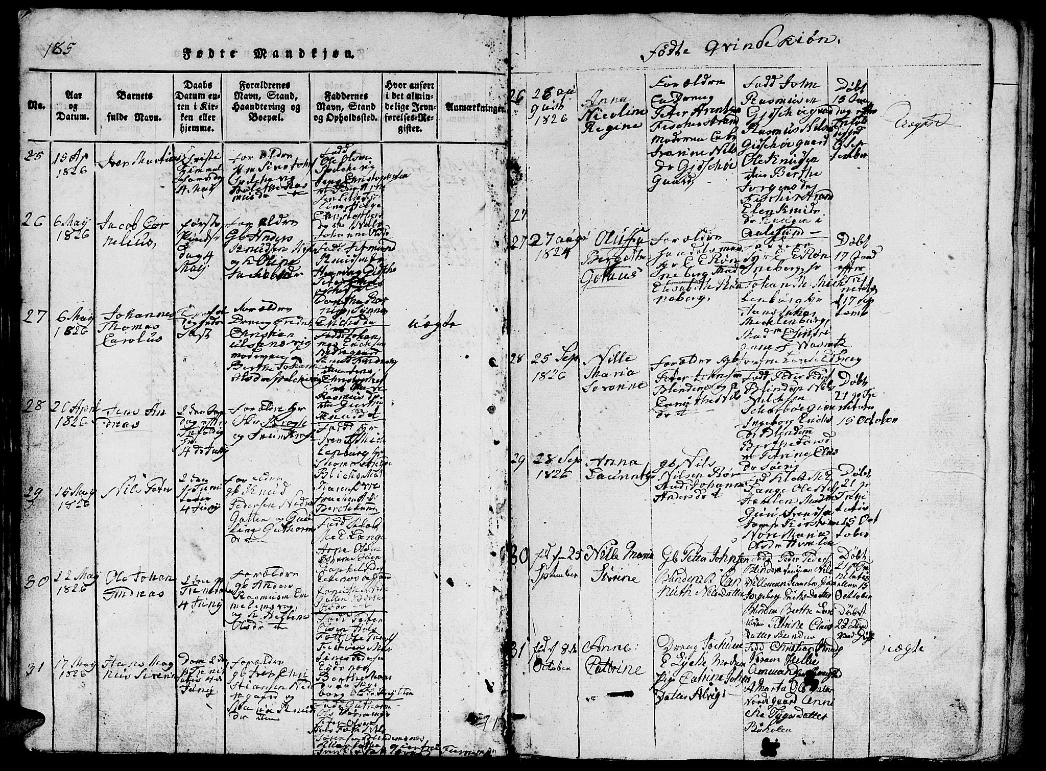 Ministerialprotokoller, klokkerbøker og fødselsregistre - Møre og Romsdal, AV/SAT-A-1454/528/L0423: Parish register (copy) no. 528C04, 1816-1827, p. 185-186