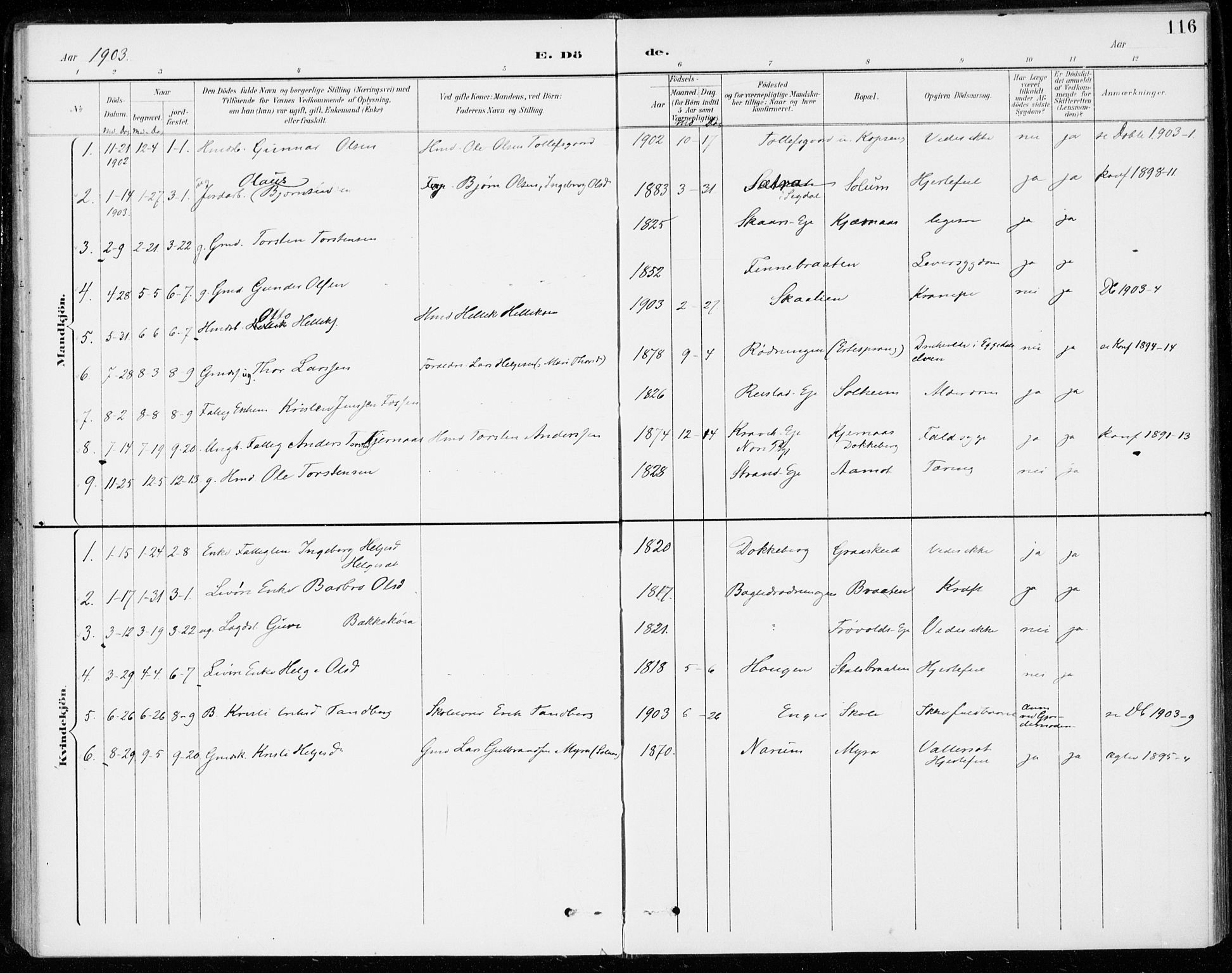Sigdal kirkebøker, SAKO/A-245/F/Fc/L0002: Parish register (official) no. III 2, 1894-1911, p. 116