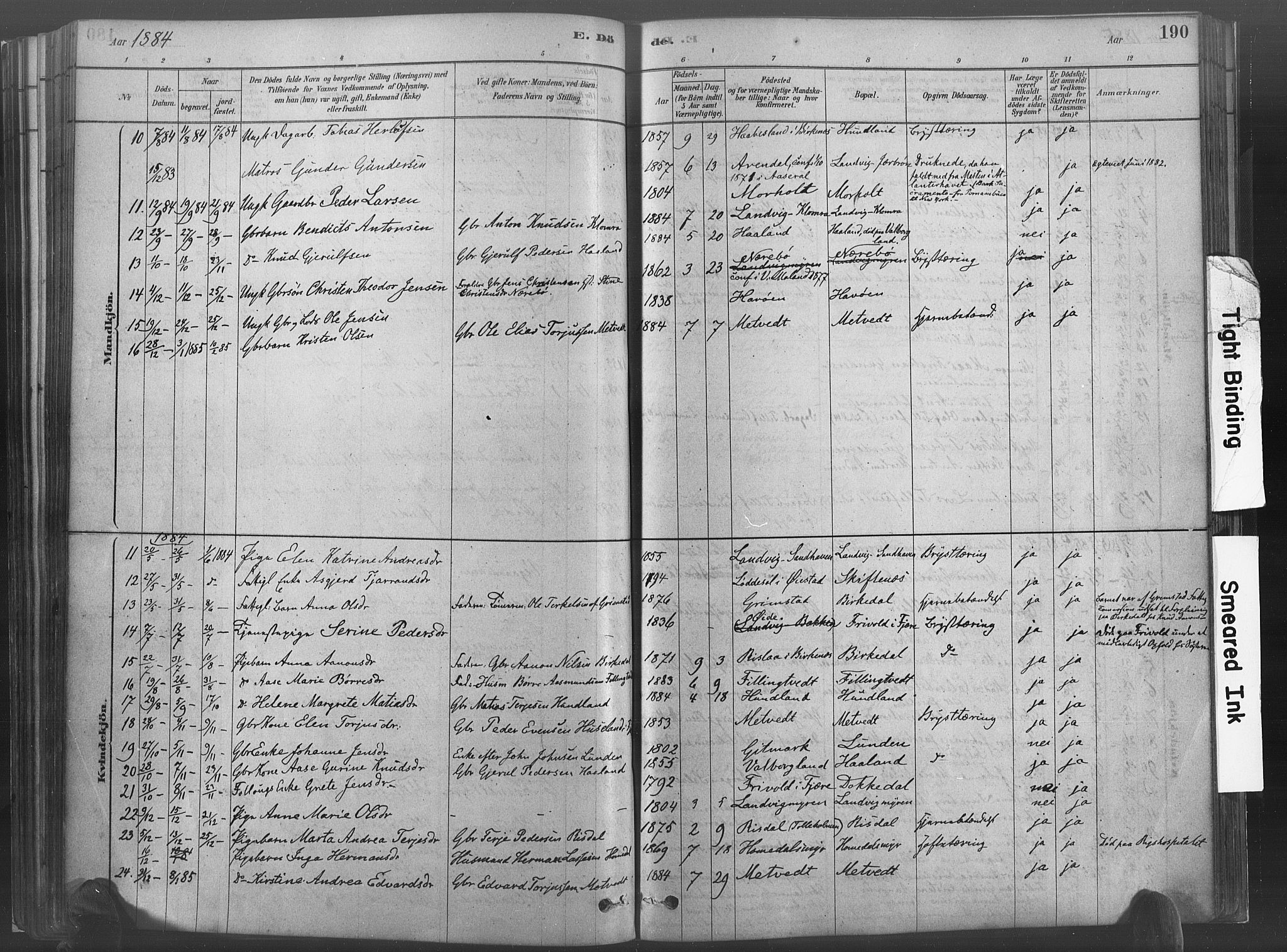 Hommedal sokneprestkontor, AV/SAK-1111-0023/F/Fa/Fab/L0006: Parish register (official) no. A 6, 1878-1897, p. 190