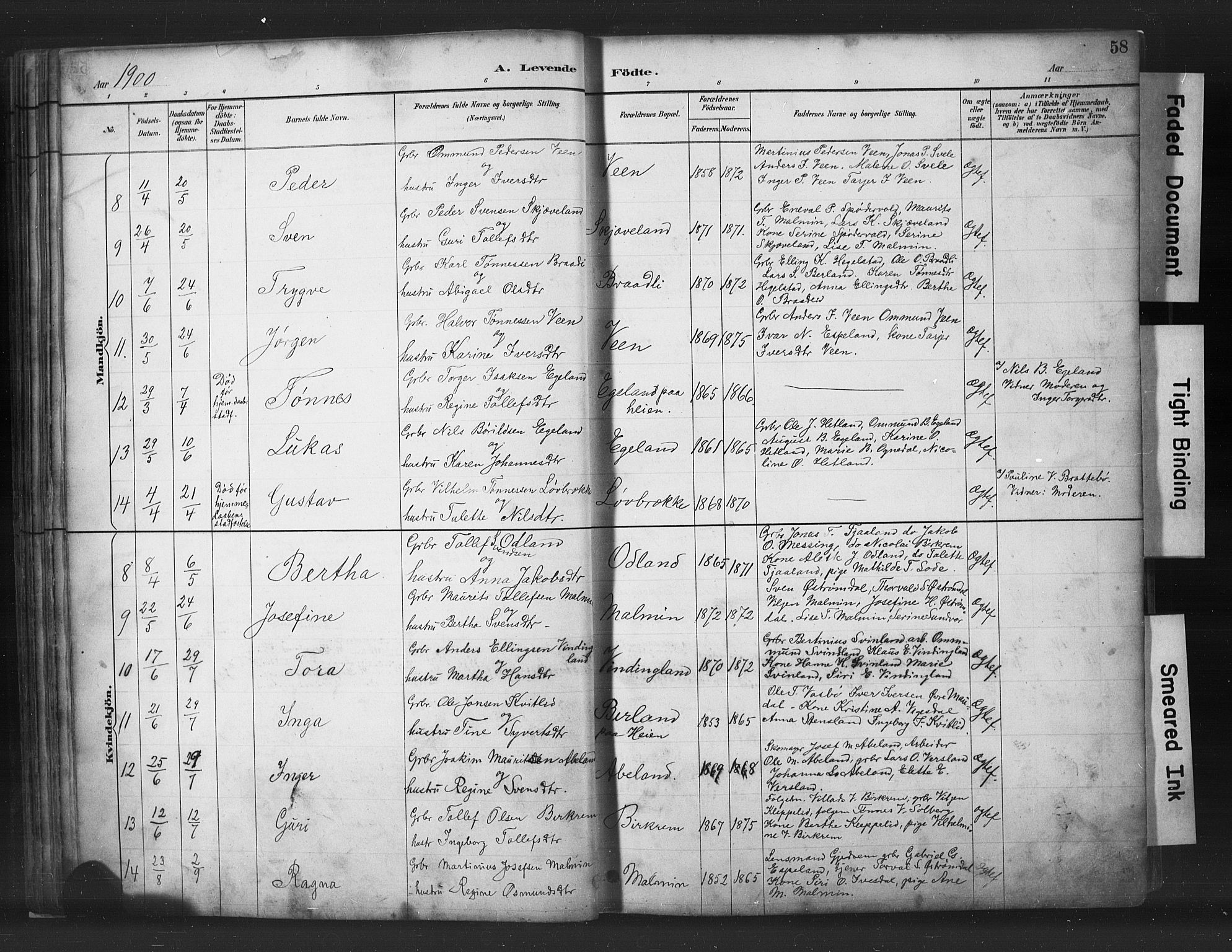 Helleland sokneprestkontor, AV/SAST-A-101810: Parish register (copy) no. B 5, 1887-1908, p. 58