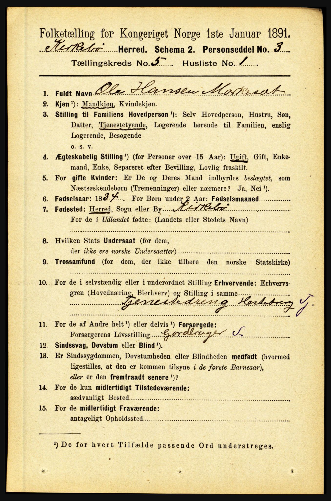 RA, 1891 census for 1416 Kyrkjebø, 1891, p. 1060