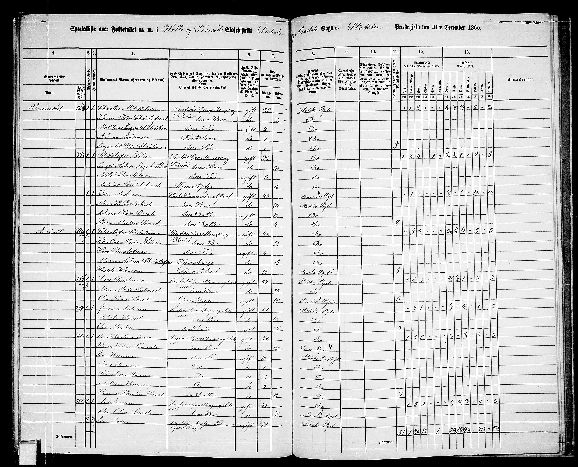 RA, 1865 census for Stokke, 1865, p. 173