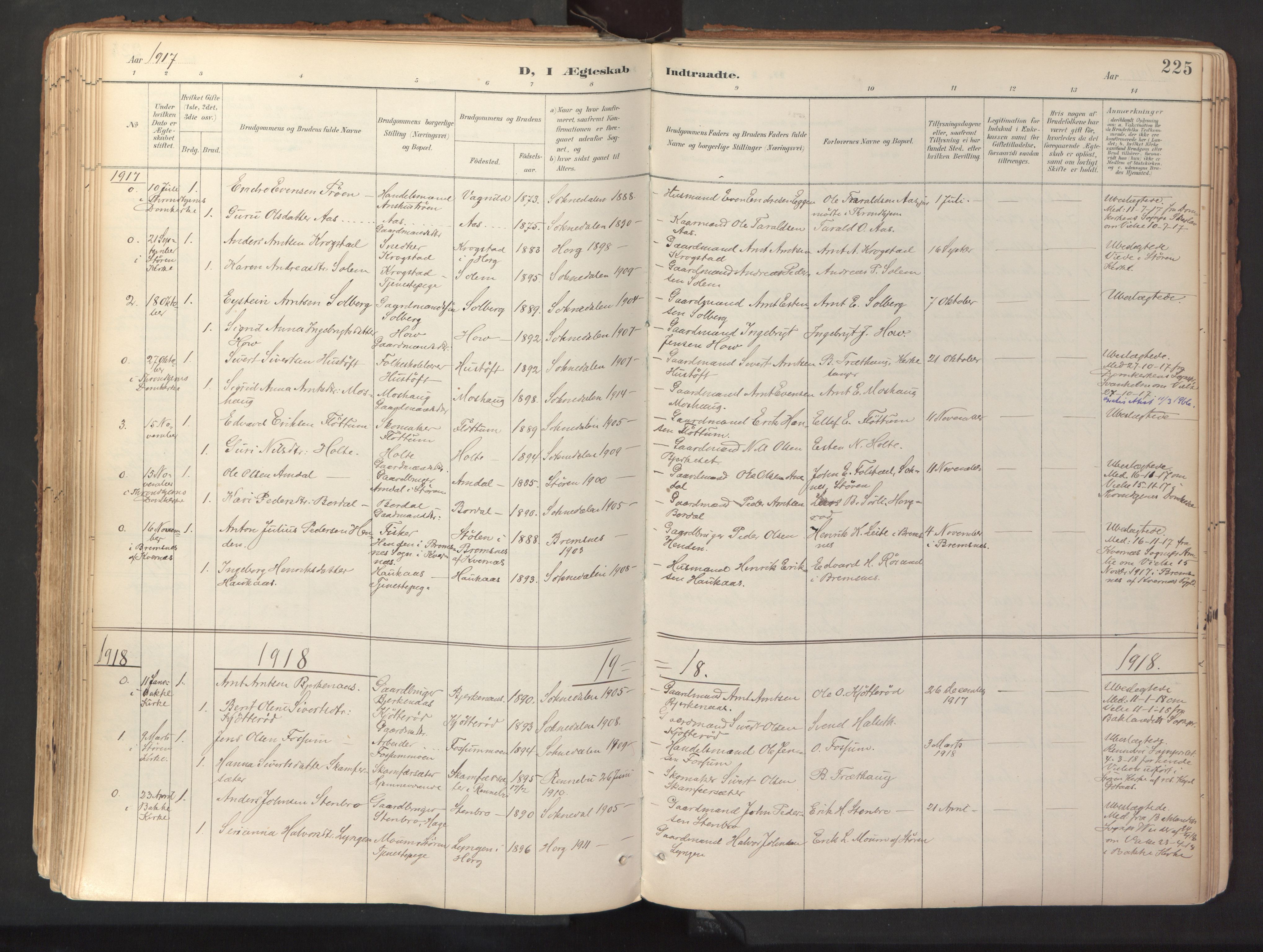 Ministerialprotokoller, klokkerbøker og fødselsregistre - Sør-Trøndelag, SAT/A-1456/689/L1041: Parish register (official) no. 689A06, 1891-1923, p. 225