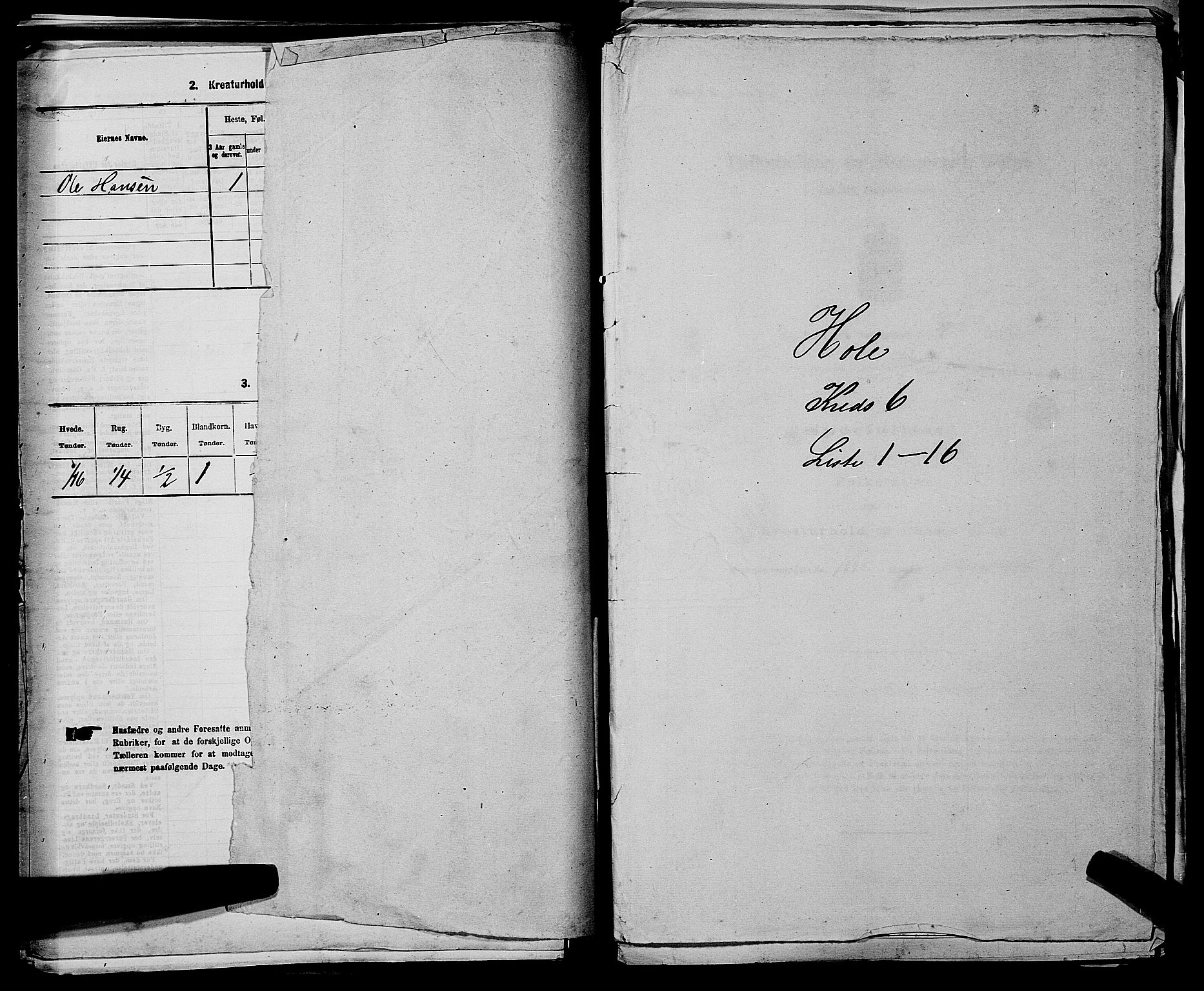 SAKO, 1875 census for 0612P Hole, 1875, p. 1117